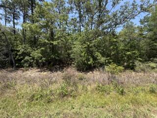HOLLEY/NAVARRE - Land