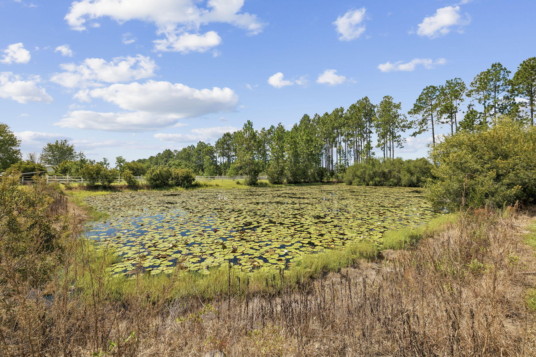 Seminole Ridge - Residential