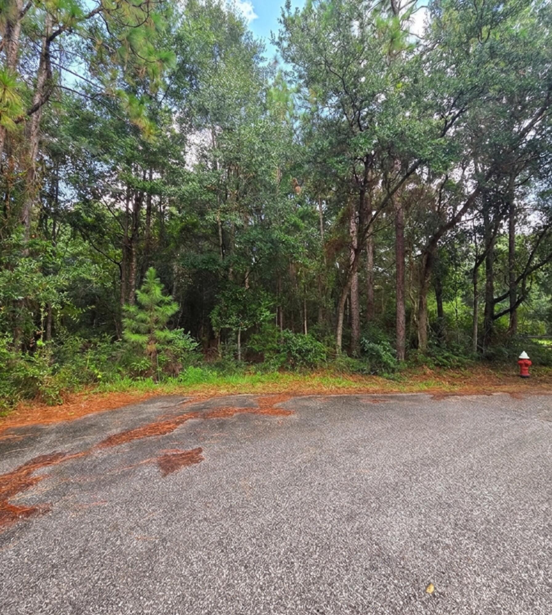 Beautiful 1.1259-acre parcel with AG-RR zoning, offering a great opportunity for a mobile home or single-family dwelling. The property also provides excellent recreational potential and would make a great hunting property. The acreage may offer the possibility of being split, subject to applicable county requirements and approvals. An RV may be occupied temporarily while building a single-family dwelling, but permanent RV living is not permitted. Buyer should verify zoning, building, subdivision, RV-use, and other requirements with the appropriate county authorities. Whether you're looking to build your home, place a mobile home, enjoy the land for hunting and recreation, or explore future development potential, this property offers plenty of possibilities. Motivated seller has survey and is willing to split.  According to County GIS map not wetlands or hydric soils . In x flood zone so no flood insurance required . septic is needed.  Listing is the L shaped parcel ONLY . Both can be sold as one