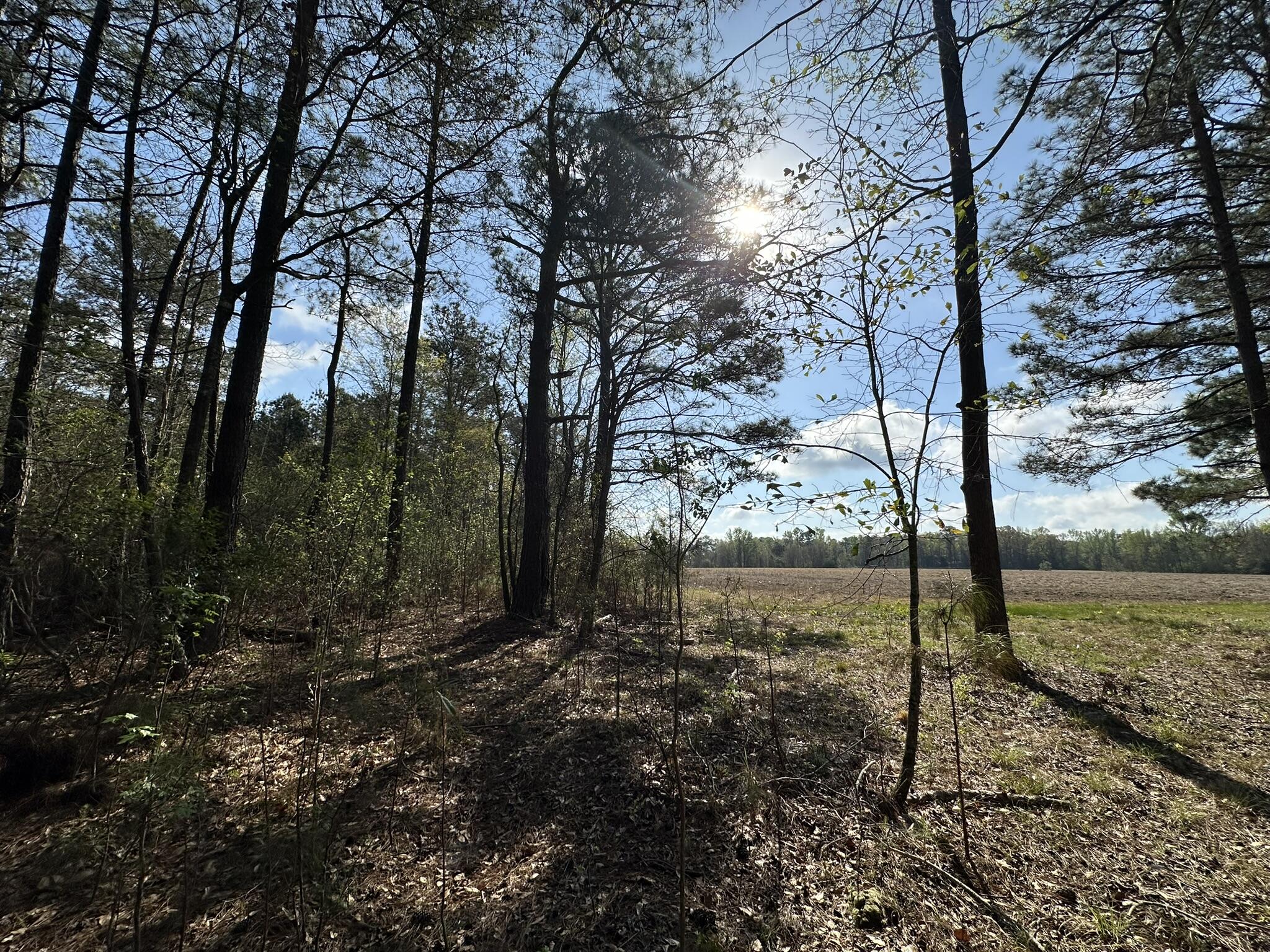 Approximately 1.1 +/- acres situated in Monroe County, offering a peaceful rural setting with plenty of potential. Whether you're searching for a future investment or simply looking to own land in South Alabama, this parcel provides an opportunity to create something uniquely your own. Buyer and Buyer's agent to verify all information deemed important to purchase, including zoning and allowable use.