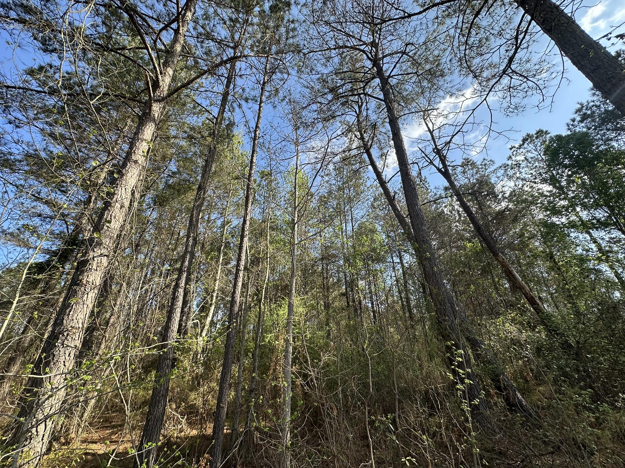 NO RECORDED SUBDIVISION - Land