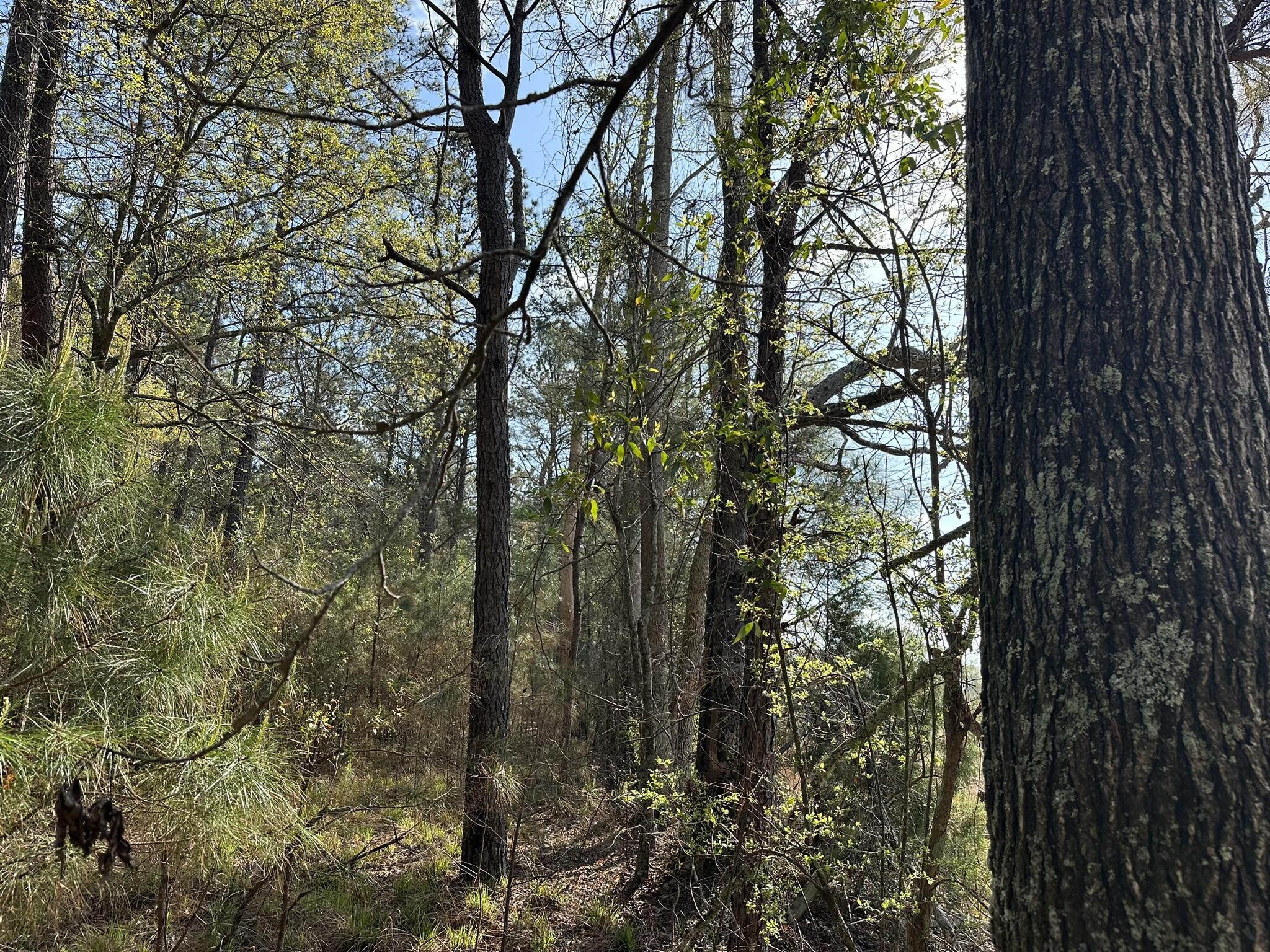 NO RECORDED SUBDIVISION - Land