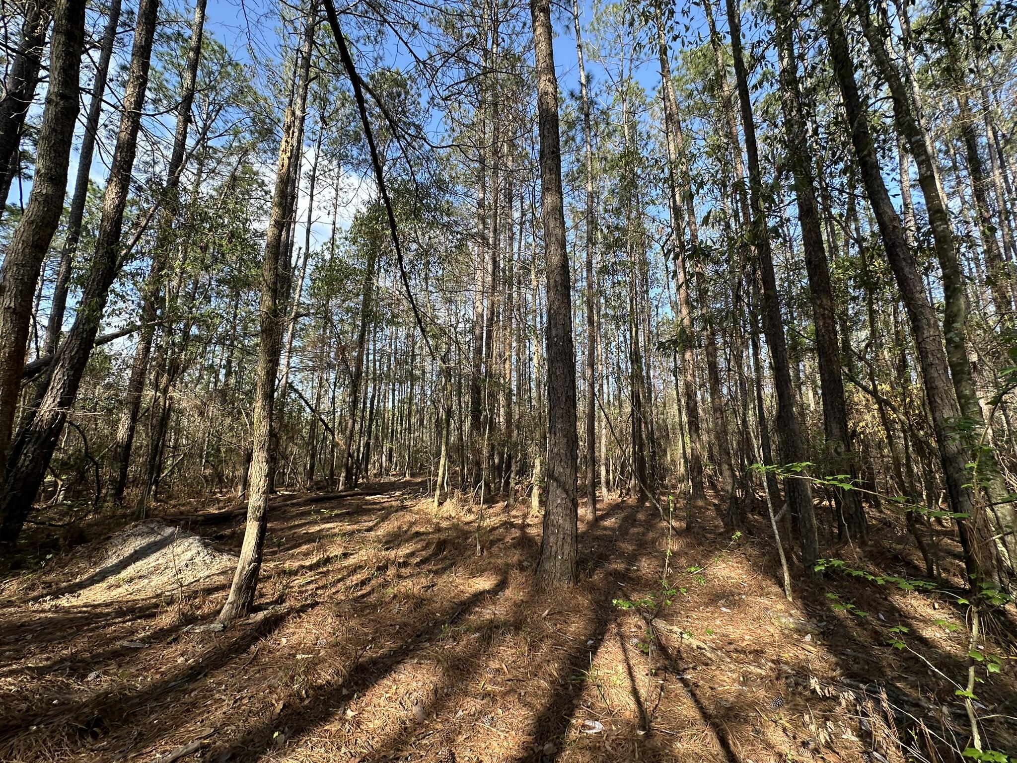 NO RECORDED SUBDIVISION - Land