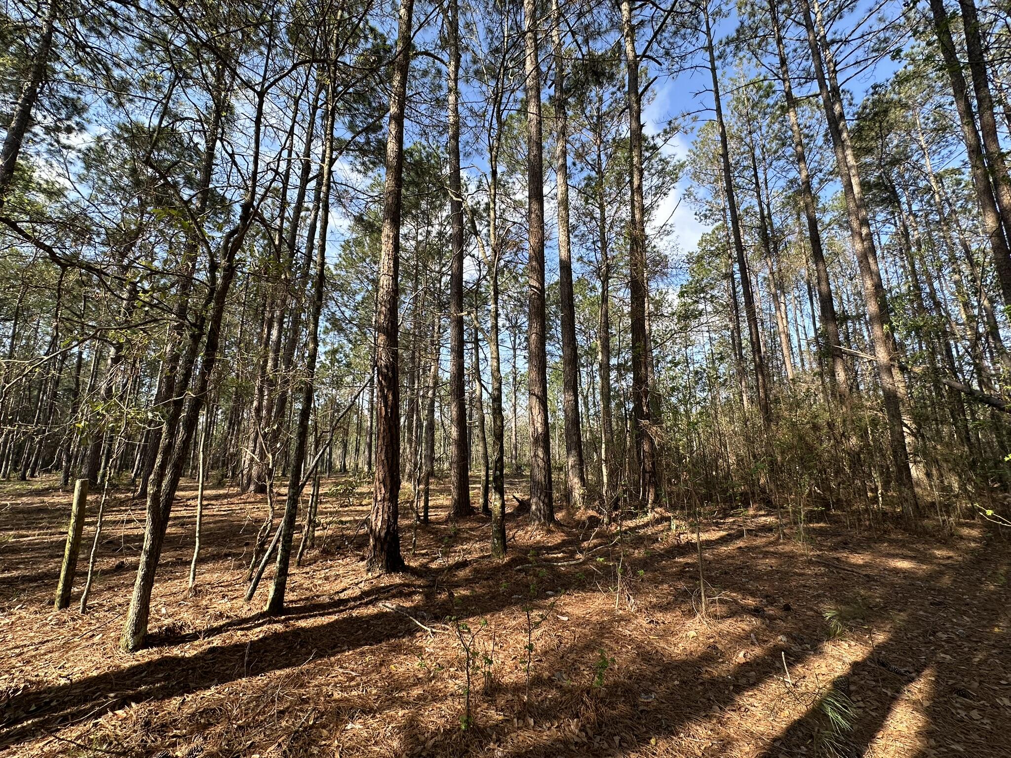 NO RECORDED SUBDIVISION - Land