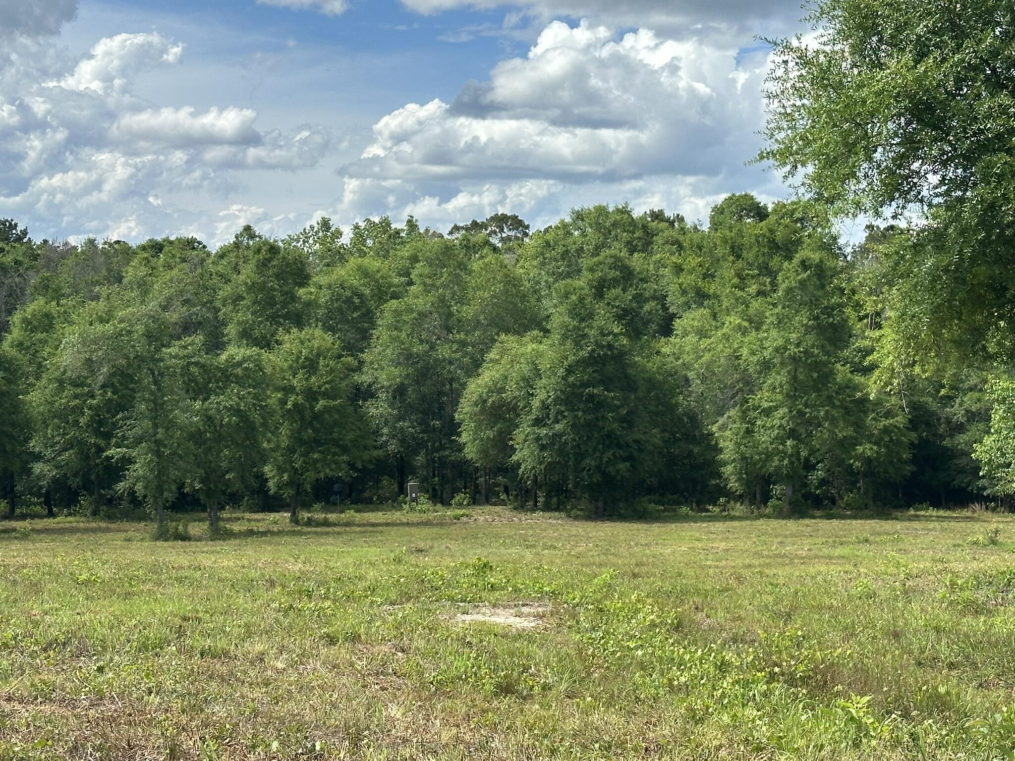 Explore the possibilities on this 10.3+/- acre tract located on County Road 20/New Ebenezer Road in Florala, Alabama. With road frontage and a convenient location near the Alabama/Florida state line, this property offers an excellent opportunity for a homesite, mini farm, recreational getaway, or long-term investment. Enjoy the flexibility of open space in a rural setting while remaining within reach of Florala's amenities, including Lake Jackson and outdoor recreation opportunities in the surrounding area. Bring your plans and make this property your own. Buyer to verify acreage, boundaries, utilities, zoning, restrictions, and any other information deemed important to the purchase.