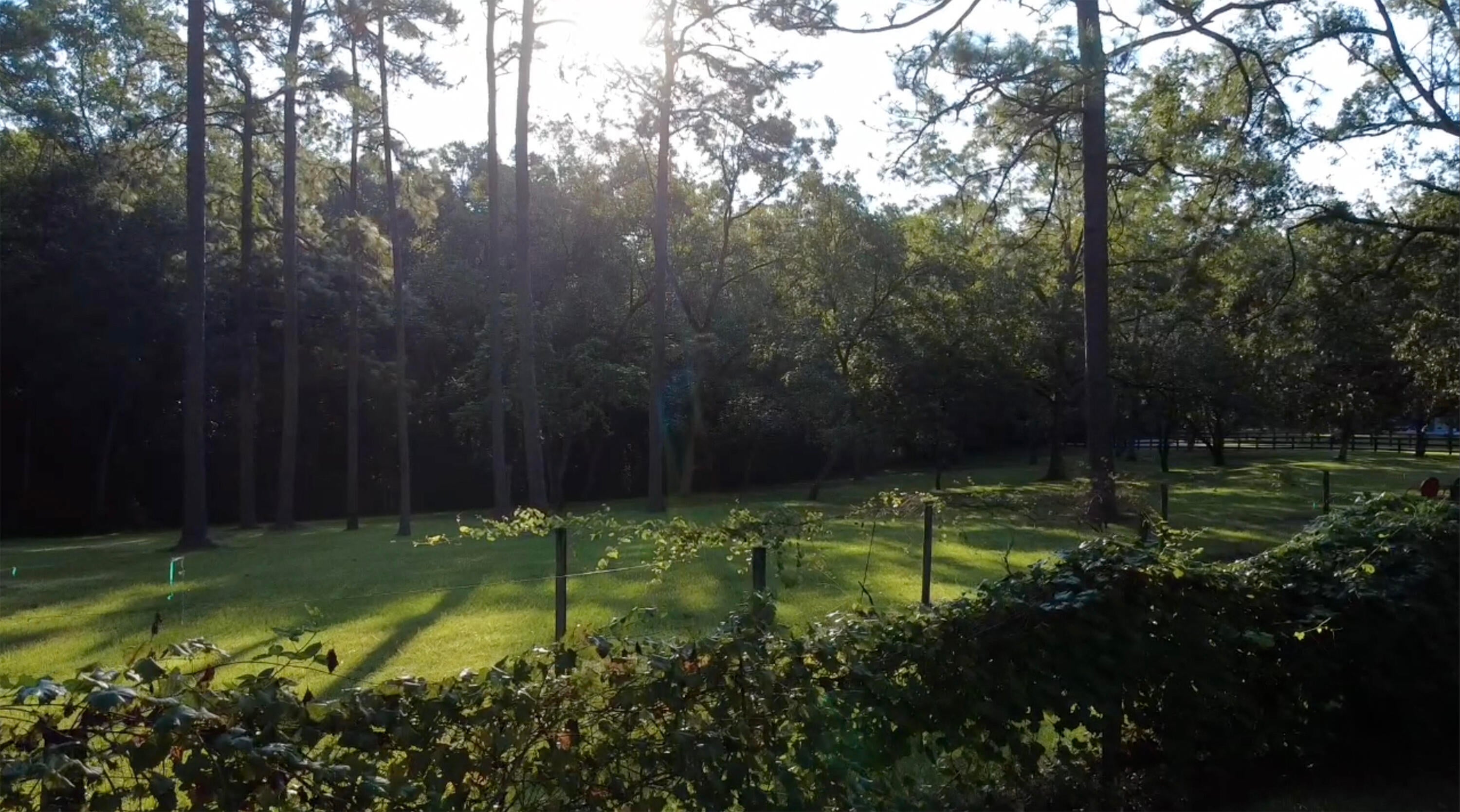 OAKLAWN - Residential