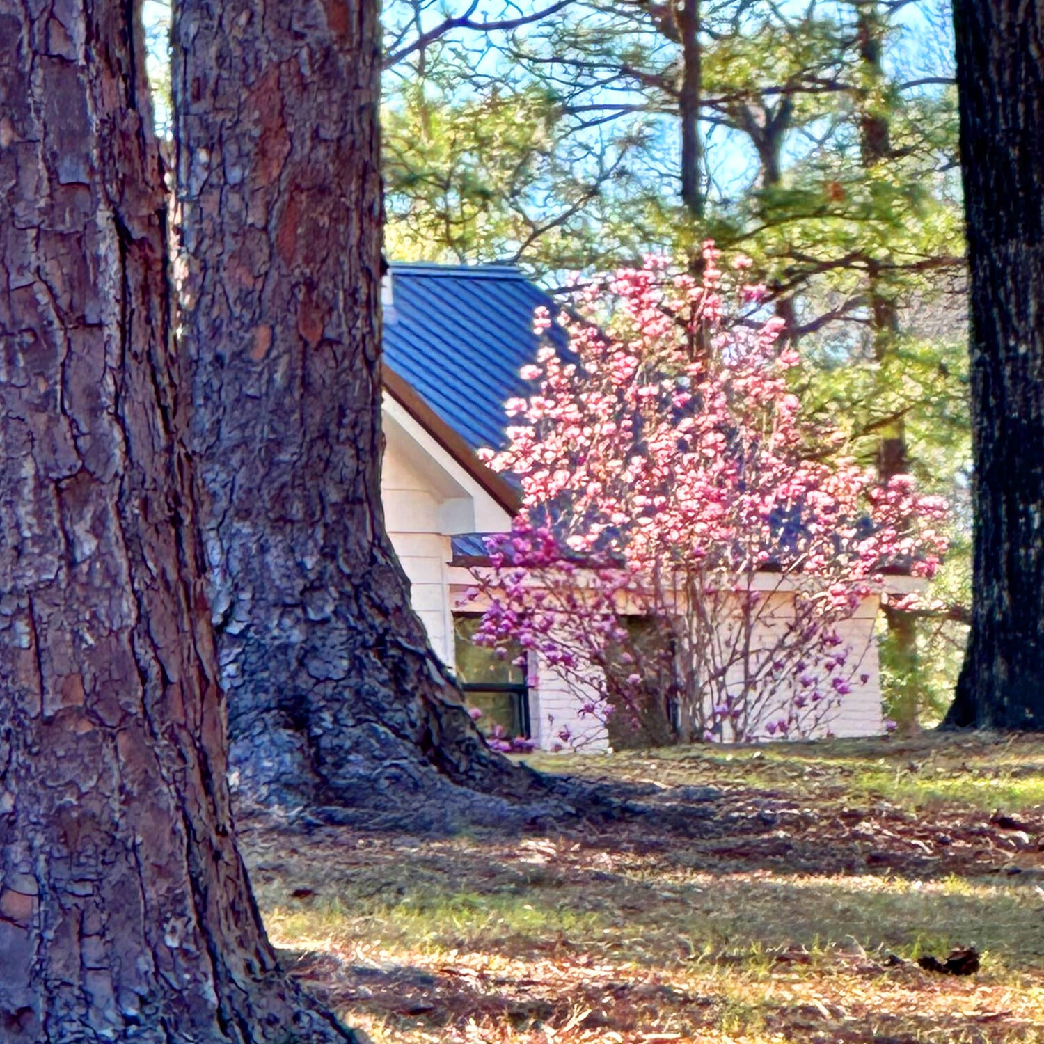 OAKLAWN - Residential