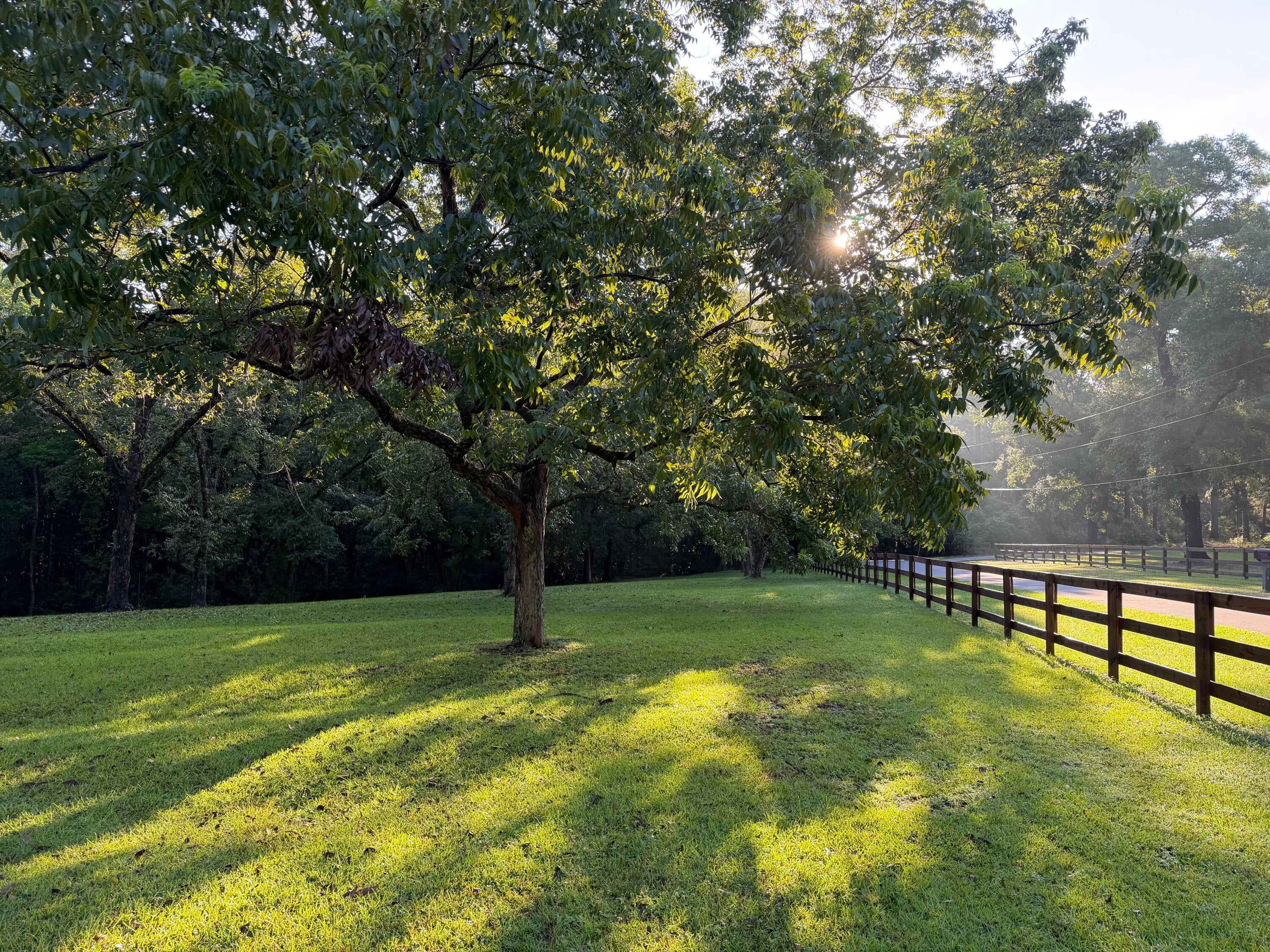 OAKLAWN - Residential