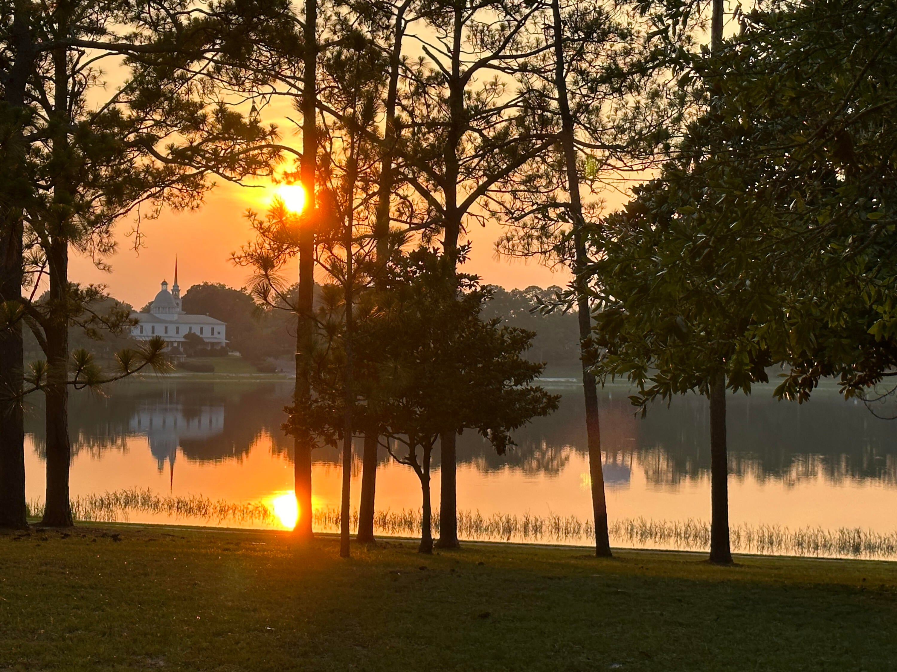 OAKLAWN - Residential
