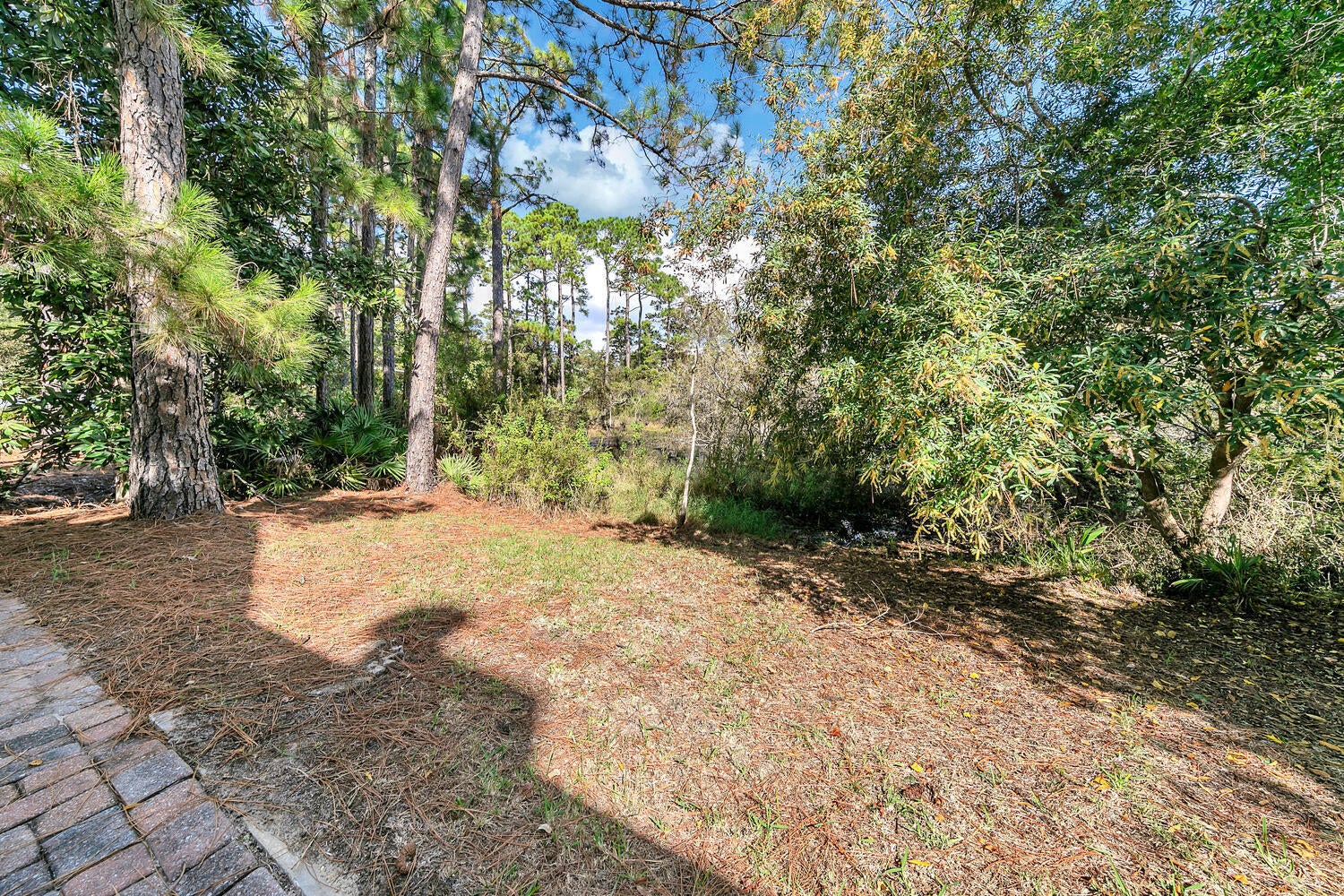 FOREST LAKES - Residential