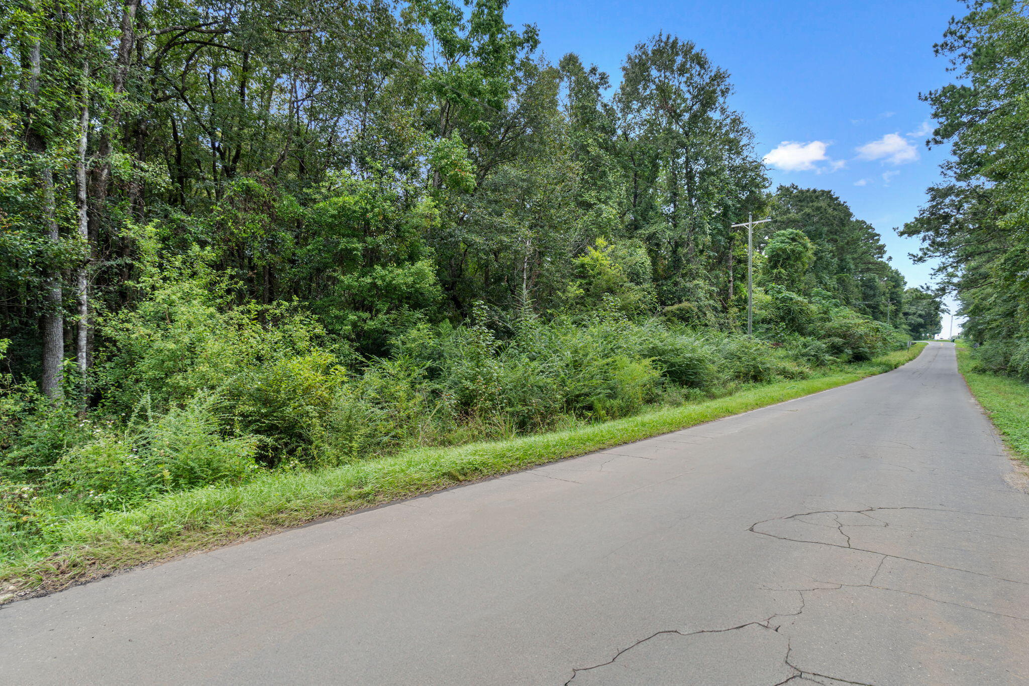 LAUREL HILL - Land