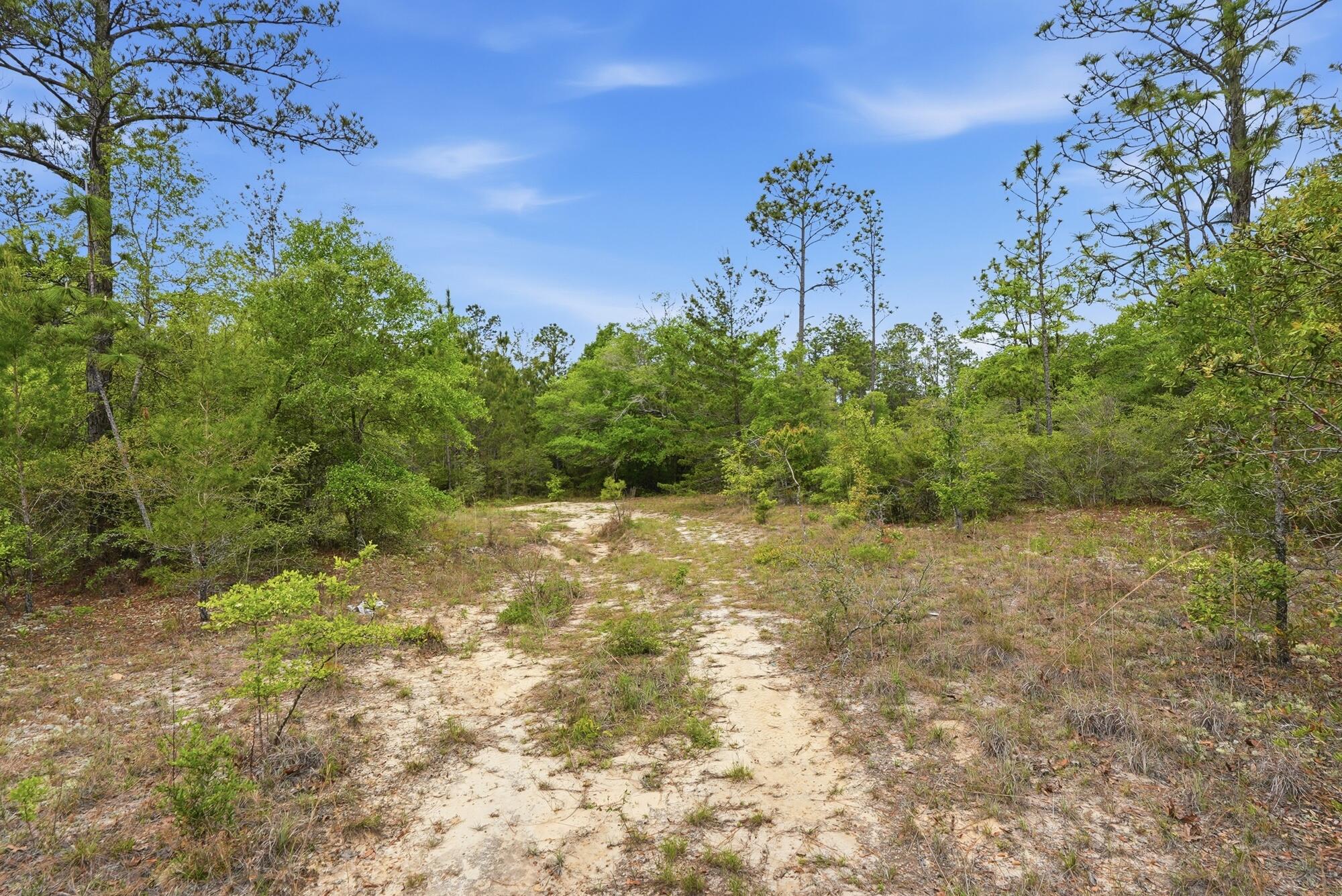 Set across 40 acres of natural landscape, 287 High Lonesome Road presents a rare opportunity to shape a vision in the quiet surroundings of DeFuniak Springs--where scale, privacy, and possibility come together with intention.

The property is heavily wooded, offering a rich canopy of mature trees and a sense of seclusion that invites thoughtful design and long-term planning. Whether imagined as a private estate, recreational retreat, or future development, the land provides a versatile canvas where architecture and environment can exist in harmony. Positioned less than 30 miles from the Gulf, the location offers a balance between peaceful inland living and access to the region's renowned coastline. Days can move between the quiet of wooded acreage and the energy of the Emerald Coast, creating a lifestyle defined by both space and connection.

Defined by its scale, natural beauty, and potential, 287 High Lonesome Road offers an opportunity to create something lasting--an environment shaped with intention, where possibilities are as expansive as the land itself.