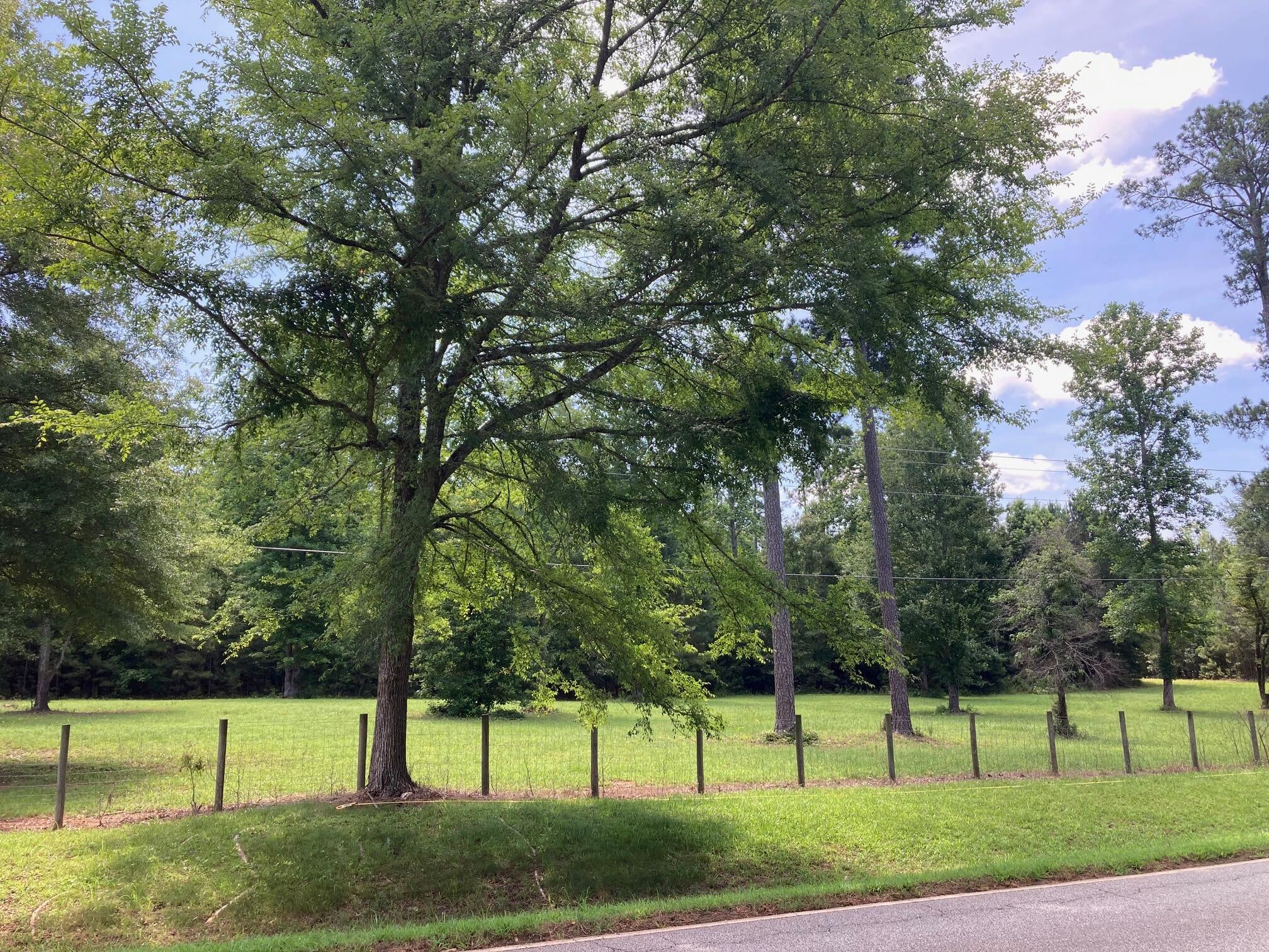 Senoia - Land