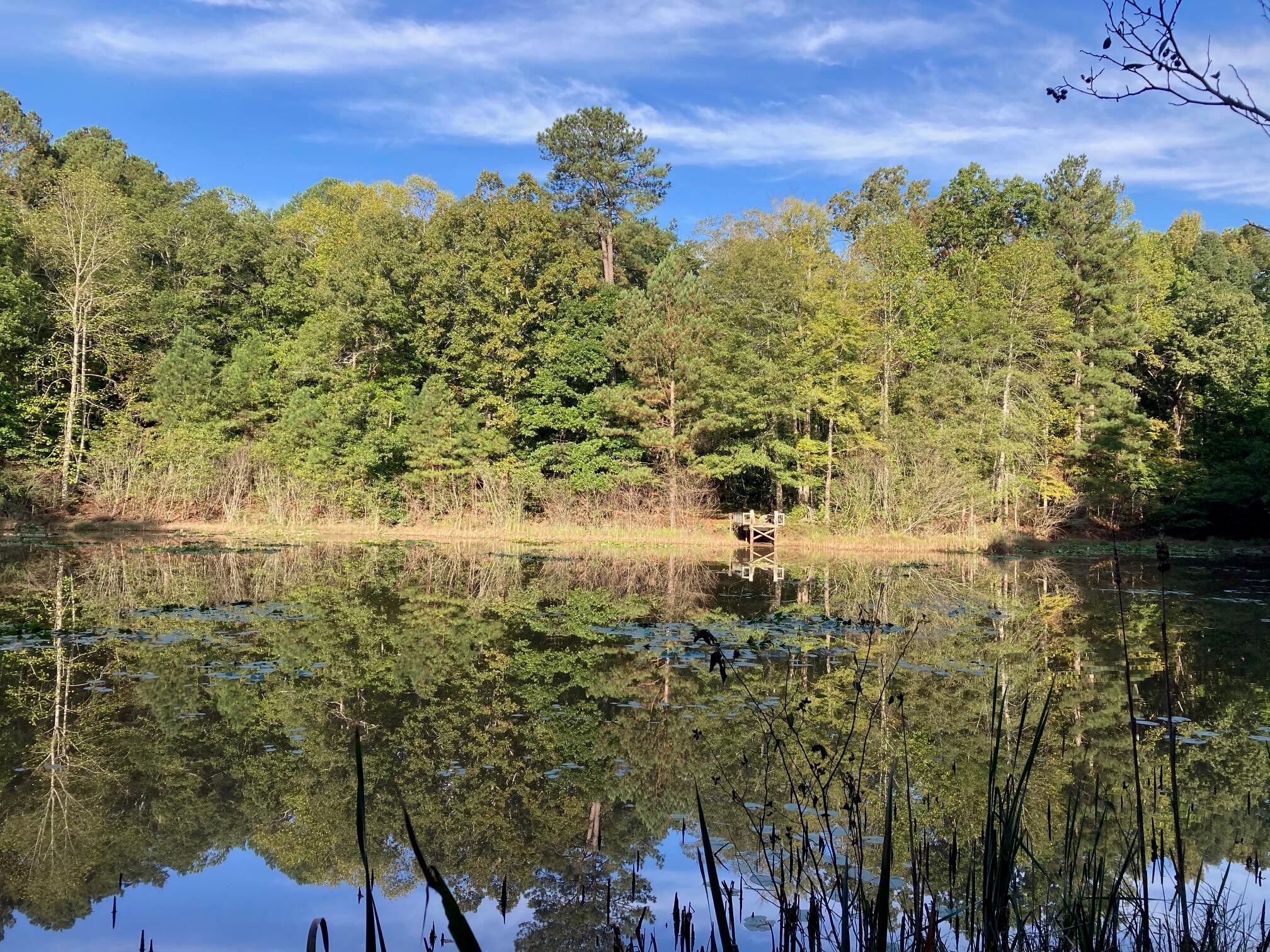 This listing is for a portion of 2354 Elders Mill Road. The property is in Coweta County, Senoia GA, the section that is for sale will be 20-21Acres and include a new survey, in the photos there are general diagrams. The county has said that can be 4 total lots minimum size 5 acres if desired, 3EL5 lots of 1 easement and 1 EL5 lot off Elders mill road. Contact Listing agent for details. Other lot configurations potentially available. Farm Roads easy enough to drive. This property has been owned by the same family for 30+ years. Lake, Wildlife, Horse riding trails, all in Coweta County and 10 min to downtown Senoia.