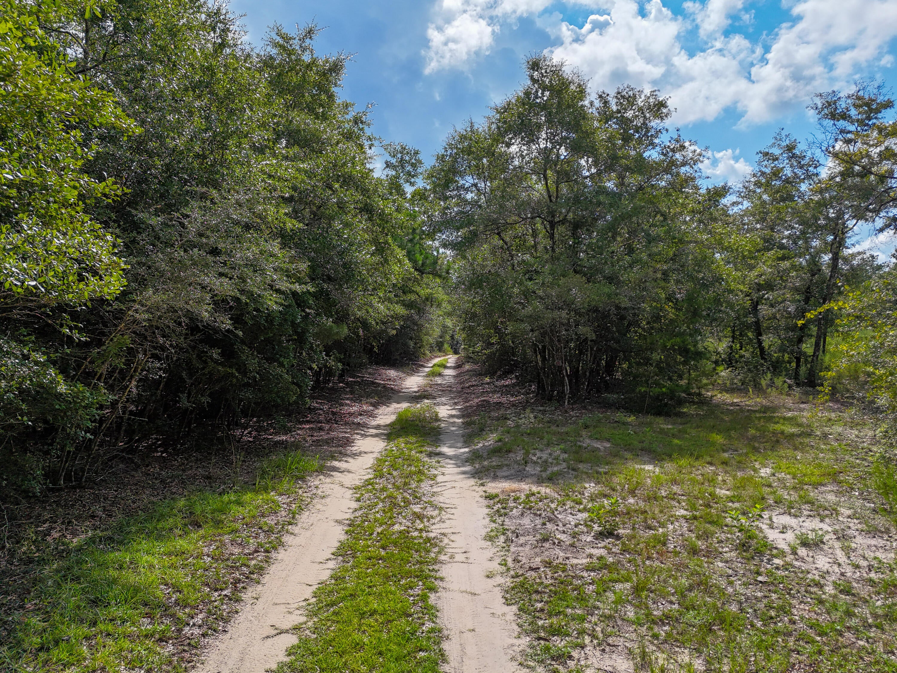 Discover 40.6± acres of private, mature timberland in rural Walton County near Ponce de Leon. This mostly wooded tract offers a solid mix of pine and hardwoods with excellent potential for timber investment, recreational hunting, or a secluded future homesite.

The property is currently classified as timberland and remains vacant with no improvements--ideal for buyers seeking raw land, a hunting retreat, or long-term holding. Dense canopy provides privacy and habitat for deer, turkey, and other wildlife. Surrounding dirt roads and trails offer access into and around the tract, while the overall setting delivers the quiet, natural feel that defines North Walton County living.

Located in a rural area with convenient access to Hwy 81 and I-10, the property sits within easy reach of the Emerald Coast beaches, Freeport, and DeFuniak Springs while still offering genuine seclusion. Low agricultural tax valuation makes it an attractive holding property.
Whether you're looking for a timber investment, a private hunting tract, or the foundation for a future country estate, this 40-acre parcel delivers space, privacy, and potential.

Buyer to verify all information, access, zoning, wetlands, and buildability.