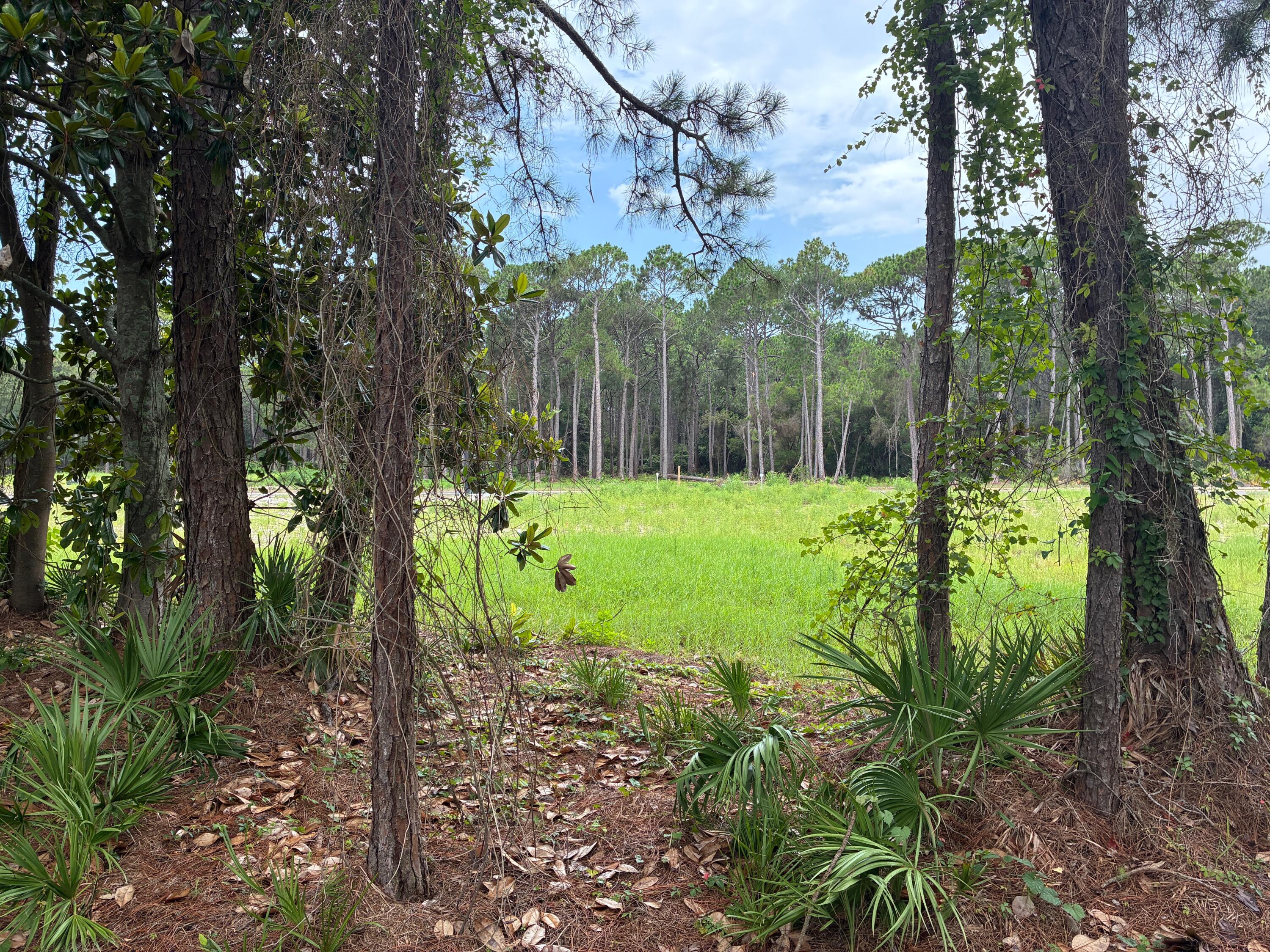 Indian Bayou West - Land