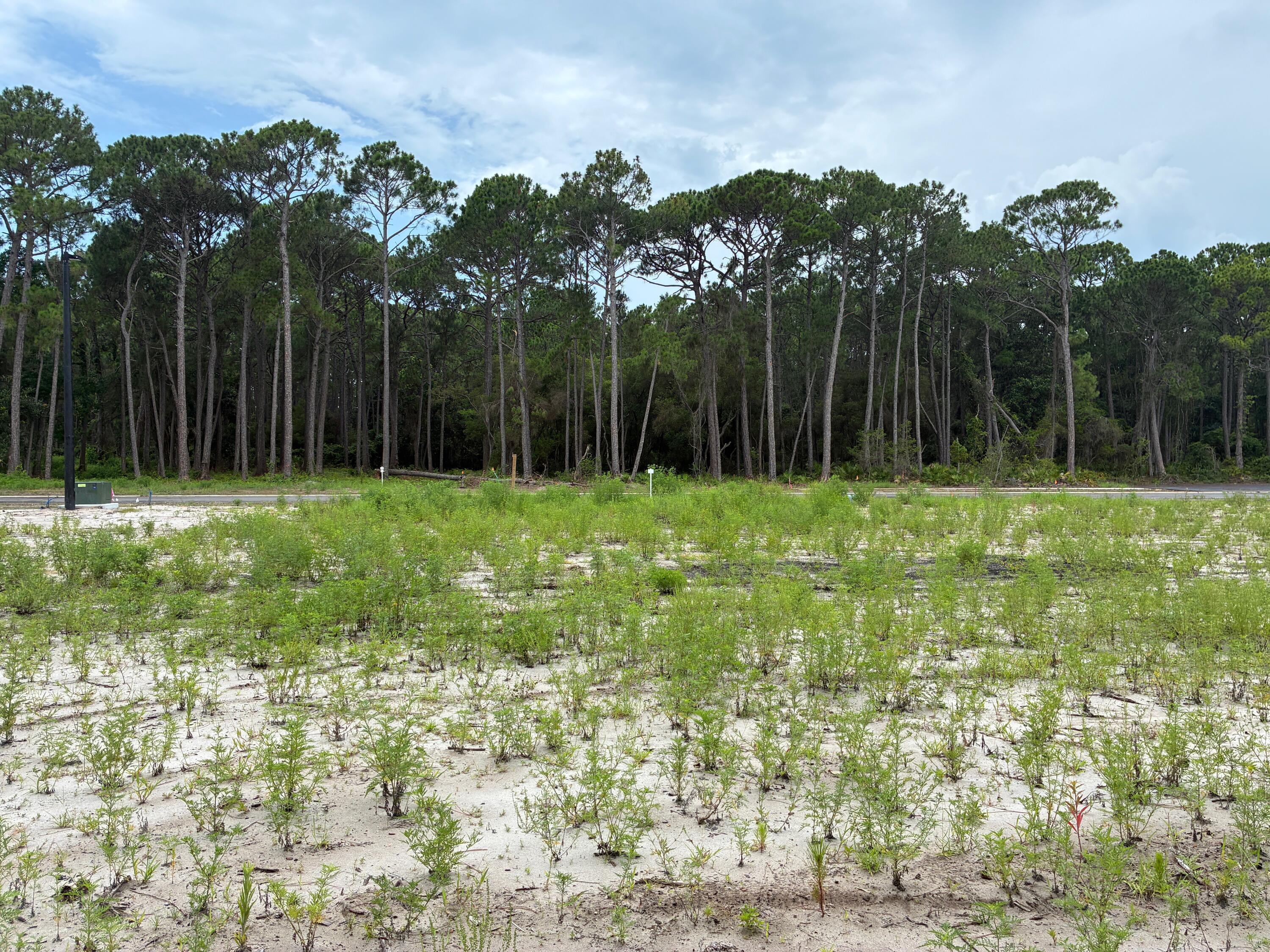 Indian Bayou West - Land