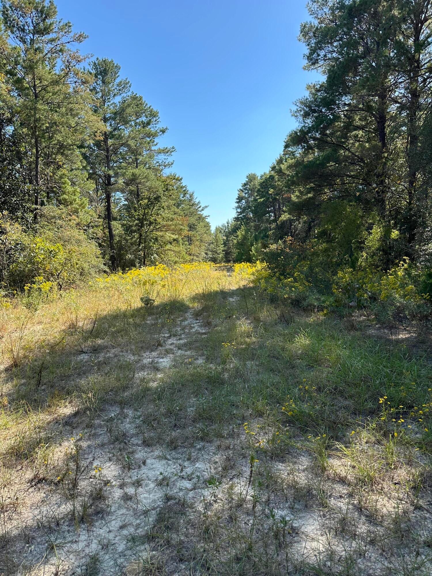 10+ ACRES • CLEARED & WOODED • HORSES ALLOWED • BUILD YOUR DREAM!

Welcome to 134 Post Oak Rd in DeFuniak Springs, where approximately 10.1 acres of beautiful Northwest Florida land are ready for your vision!

Offering a desirable combination of partially cleared and wooded acreage, this property provides plenty of room to spread out while maintaining the privacy and natural surroundings that make country living so appealing. Whether you're dreaming of building a custom home, creating a private homestead, bringing your horses, or simply enjoying your own peaceful piece of Florida, this property offers incredible opportunities.

With more than 10 acres, there's room for a home, workshop, barn, animals, gardens, recreational toys and more.

Enjoy the freedom and space of country living without giving up convenient access to DeFuniak Springs and the surrounding area.

Water has been turned on at property and utility pole can be installed once building plans are provided.  There is also a septic on the property, but it has not been inspected and seller cannot guarantee it's viability. 

Over 10 acres. Endless possibilities. Come walk the property and picture what you could create here!