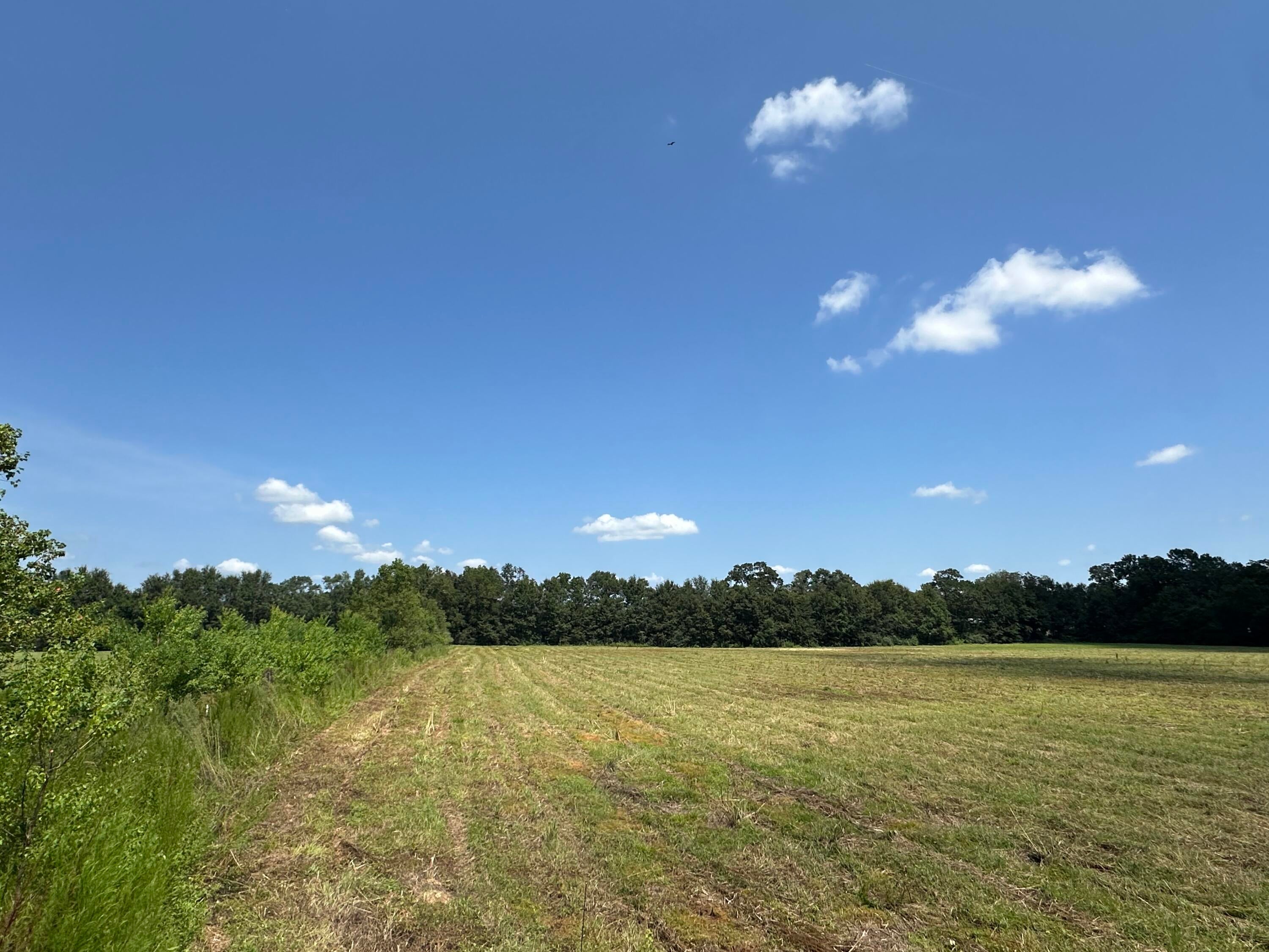 NO RECORDED SUBDIVISION - Land