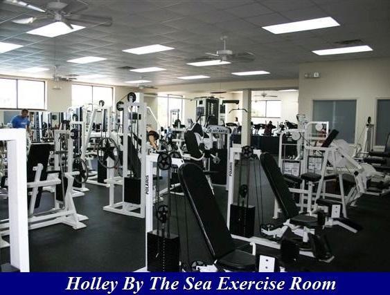 HOLLEY BY THE SEA - Land
