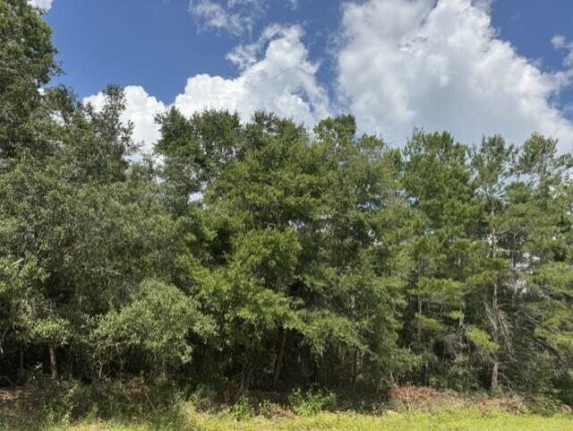 BUILD YOUR COASTAL DREAM HOME IN HOLLEY BY THE SEA! Discover the perfect place to create your own slice of Florida paradise on this high and dry, buildable .46-acre lot located on the desirable ridge on the west side of Holley by the Sea. With nearly half an acre, this beautiful homesite offers plenty of room to design the home you've been dreaming of while enjoying the relaxed coastal lifestyle Navarre is known for. Location is a standout! Enjoy quick and convenient access to Highway 98 via Edgewood Drive, as well as easy access to the East Bay common area and boat launch--perfect for boating, fishing, kayaking, paddleboarding, and enjoying beautiful days on the water. Ownership in Holley by the Sea provides access to the community's impressive Lifestyle Center and recreational amenities, including swimming pools, tennis courts, fitness facilities, and much more. Residents can also enjoy Sound-side access, waterfront playgrounds, and the picturesque waterfront boat ramp; Whether you're ready to build now or looking for the perfect homesite for the future, this .46-acre lot combines space, location, recreation, and the coastal lifestyle in one of Navarre's most established communities. Bring your house plans and start dreaming--your future Florida home begins right here in Holley by the Sea!