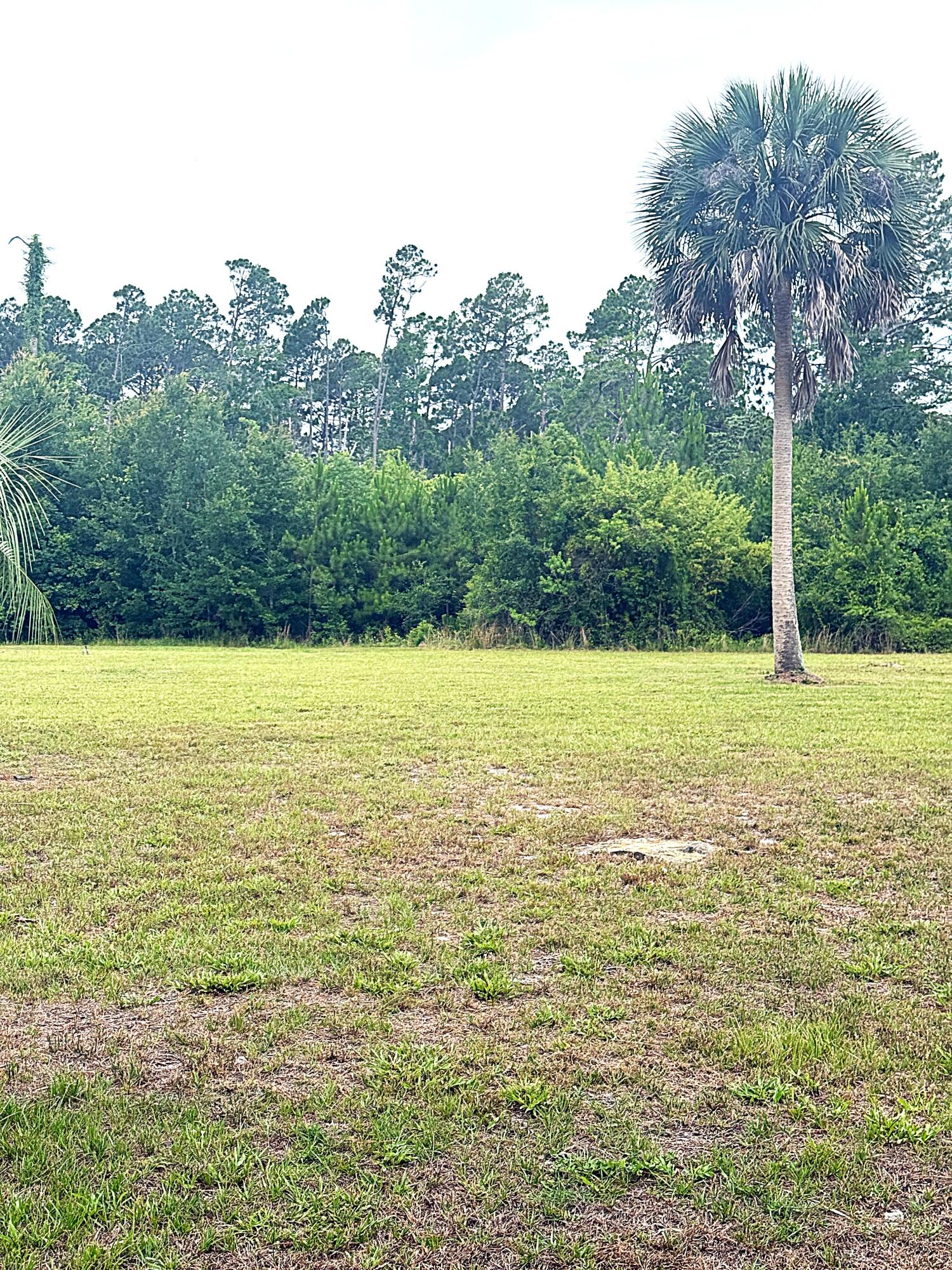 Oak Grove - Land