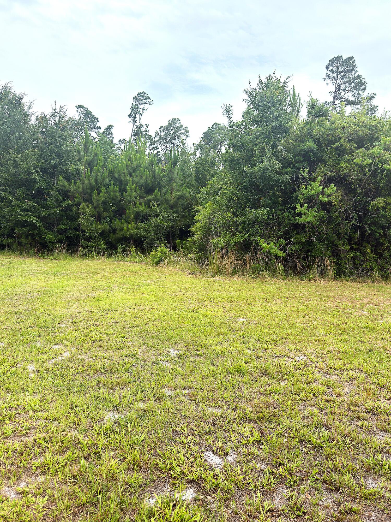Oak Grove - Land