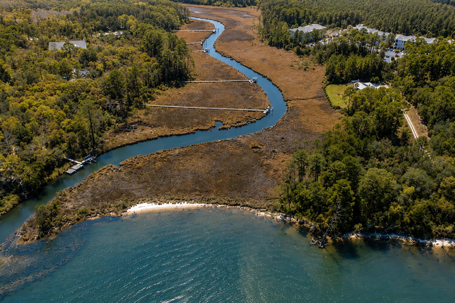 BAY MAGNOLIA - Land