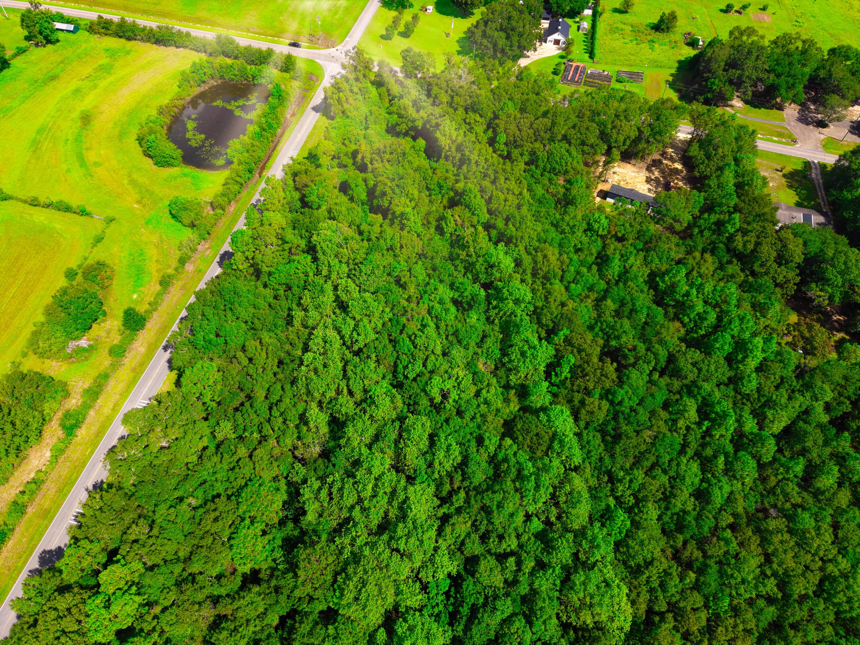 LAUREL HILL - Land