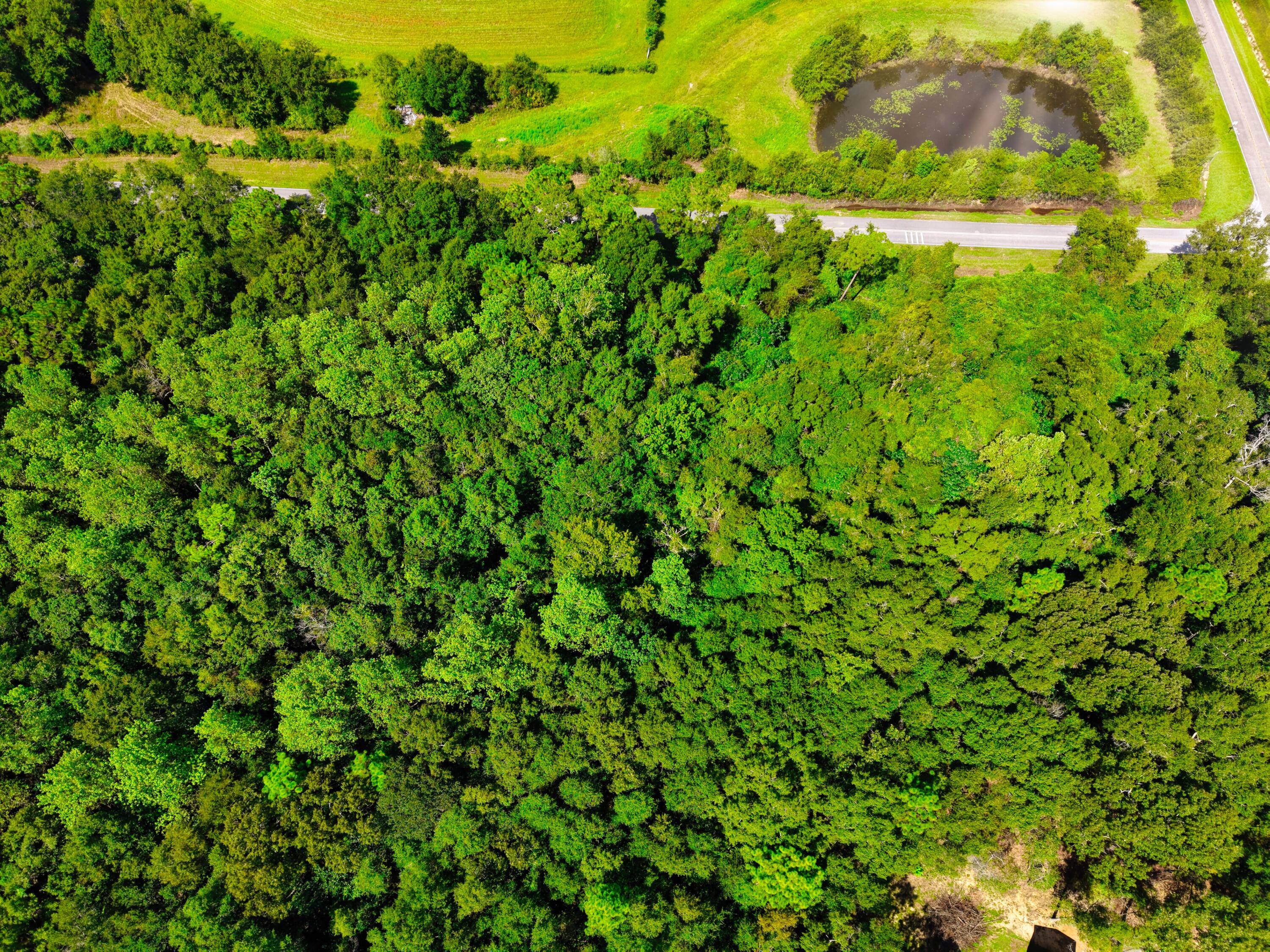 LAUREL HILL - Land