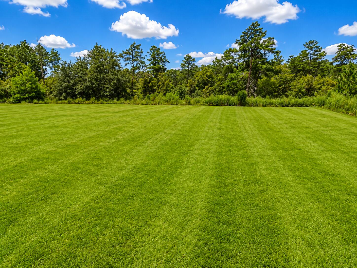 Windswept Estates - Residential