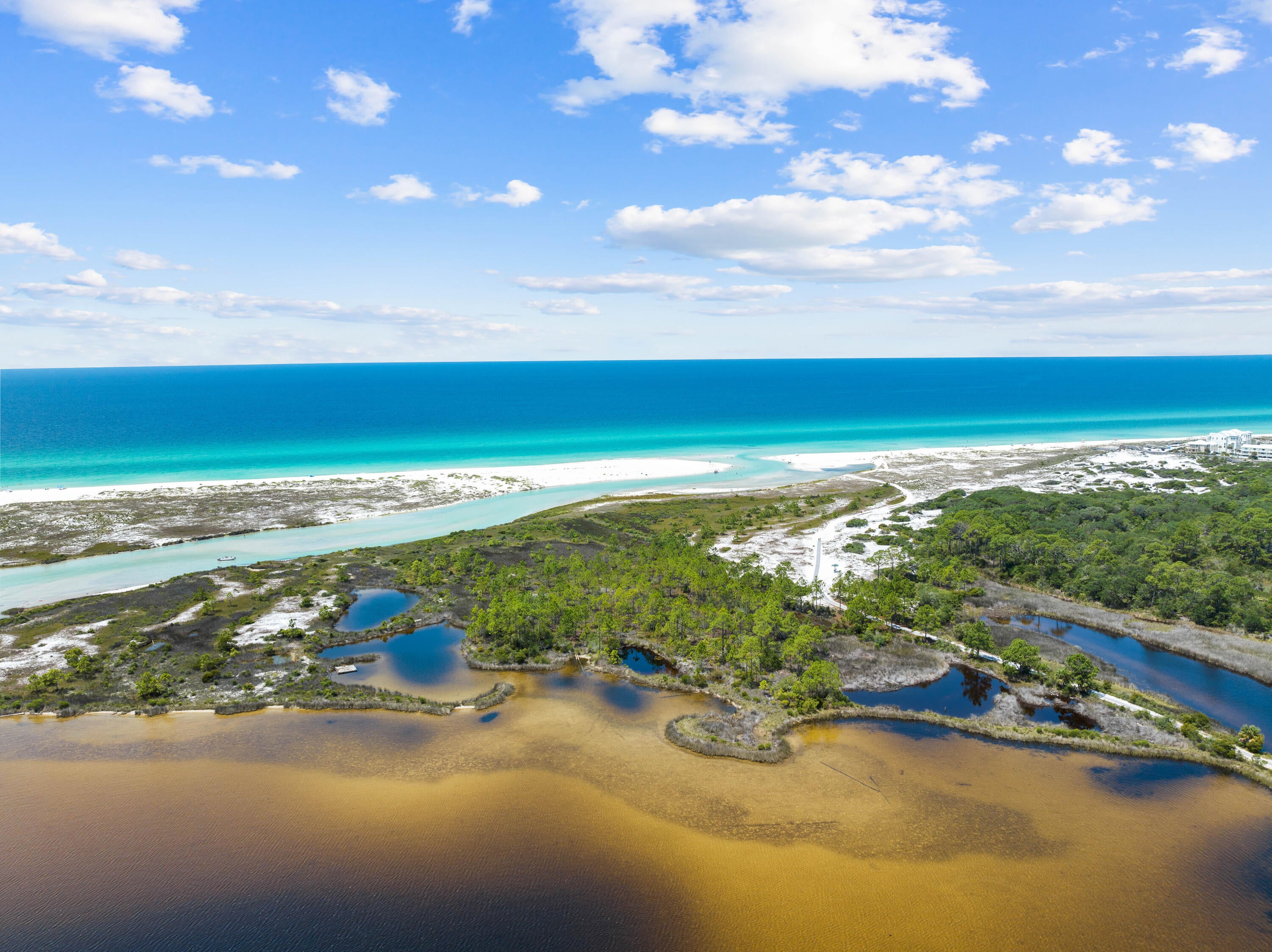 WILD HERON - Land