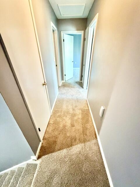PLANTATION MANOR - Residential Lease
