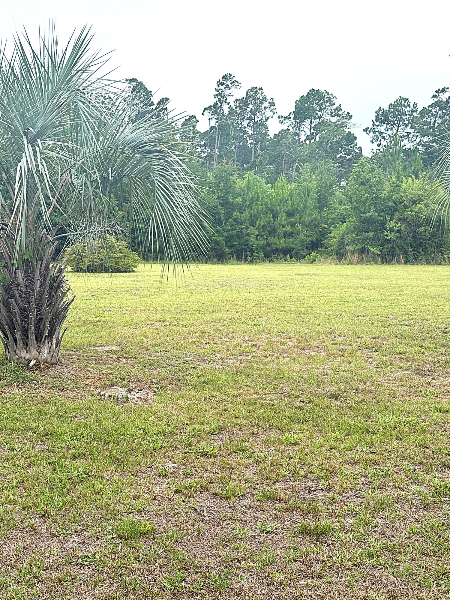 Oak Grove - Land