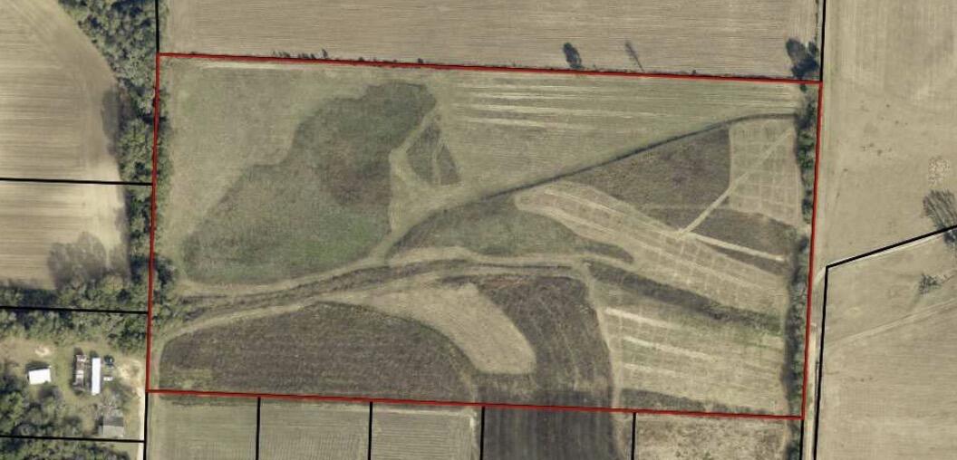 Discover 20 beautiful Acres in the North Milton area with AG-RR - Rural Residential Agriculture zoning and highly desirable cropland class two soils. This versatile property offers endless potential for a private or multiple home site, homestead, farm or investment. Enjoy peaceful rural surroundings while still being conveniently located near Milton, Pace, I-10 and Avalon Blvd. Plenty of room to build, expand, and create your vision. Buyer to verify zoning, utilities, and intended use.