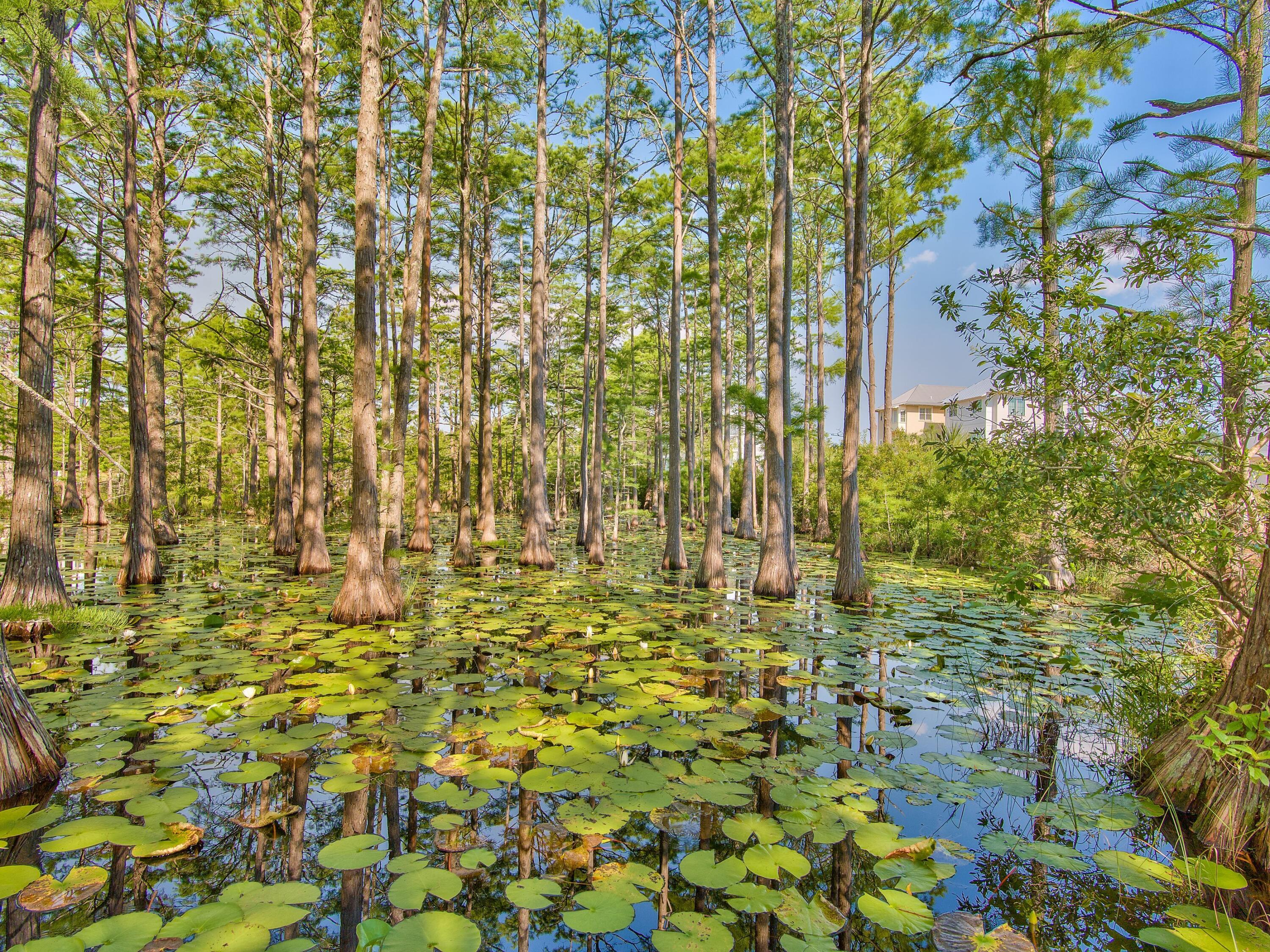 CYPRESS DUNES - Land