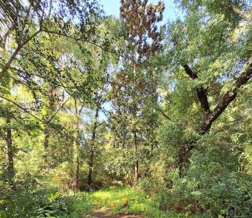 Rivercrest - Land
