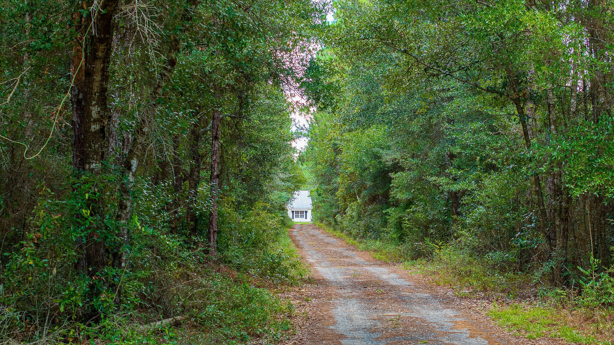 HOLT - Residential