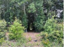 Cherokee S/D - Land