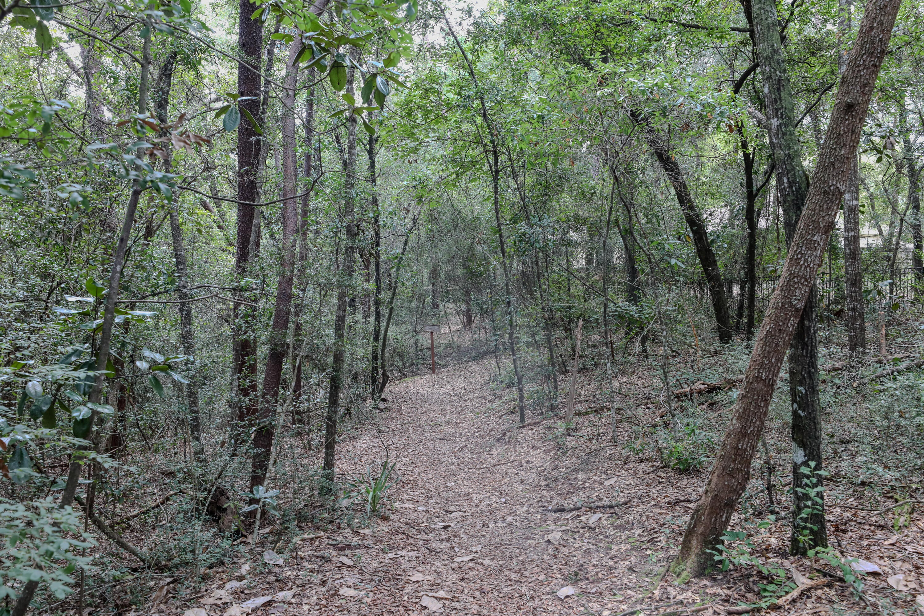 SWIFT CREEK PH VI - Residential