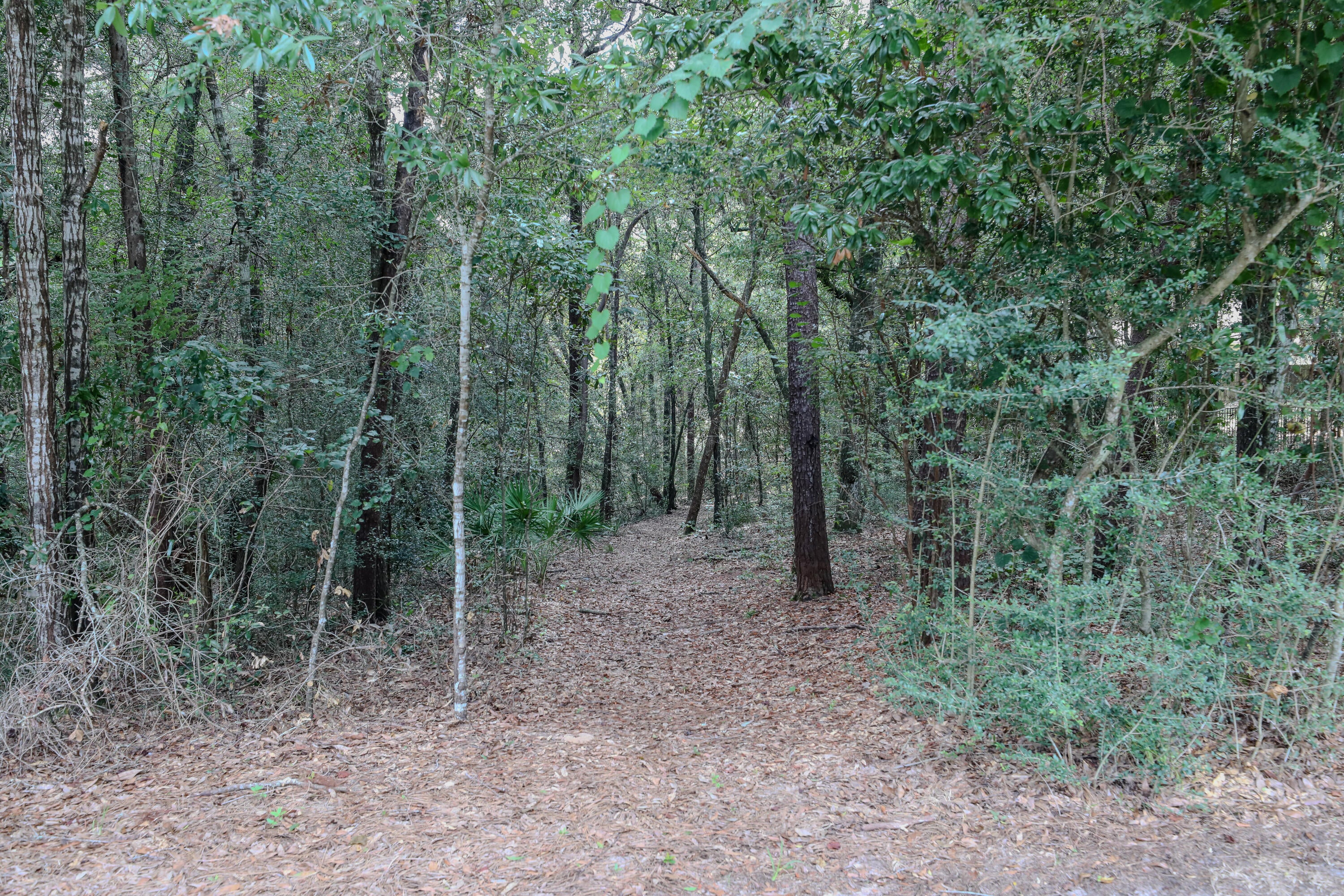SWIFT CREEK PH VI - Residential