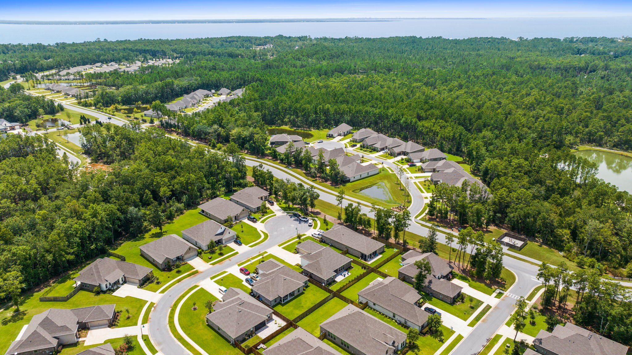 HAMMOCK BAY - WILDFLOWER - Residential