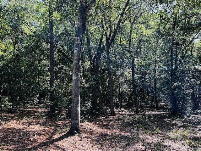 NONESUCH WAY - Land