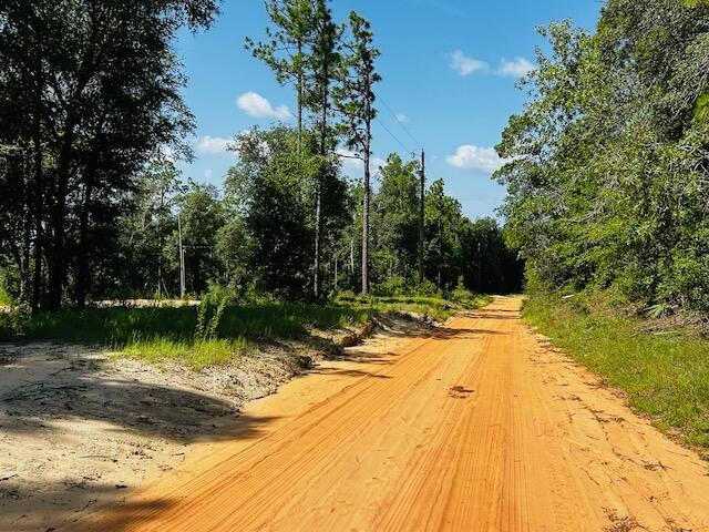 House or hunting camp? Your choice! This site has WATER ~ ELECTRICAL ~ SEPTIC ~ FOUNDATION already in place! Get the true getaway feeling being on this back country road surrounded by wildlife such as DEER ~ QUAIL ~ and the occasional BEAR! No matter what you choose, this parcel of land is here for you!
