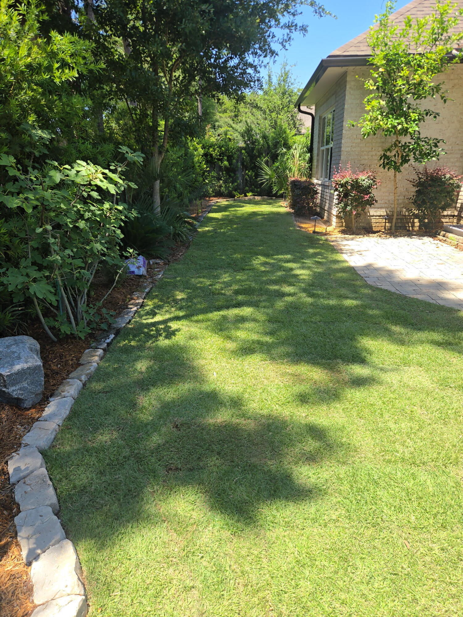 Hammock Bay- Meadows - Residential