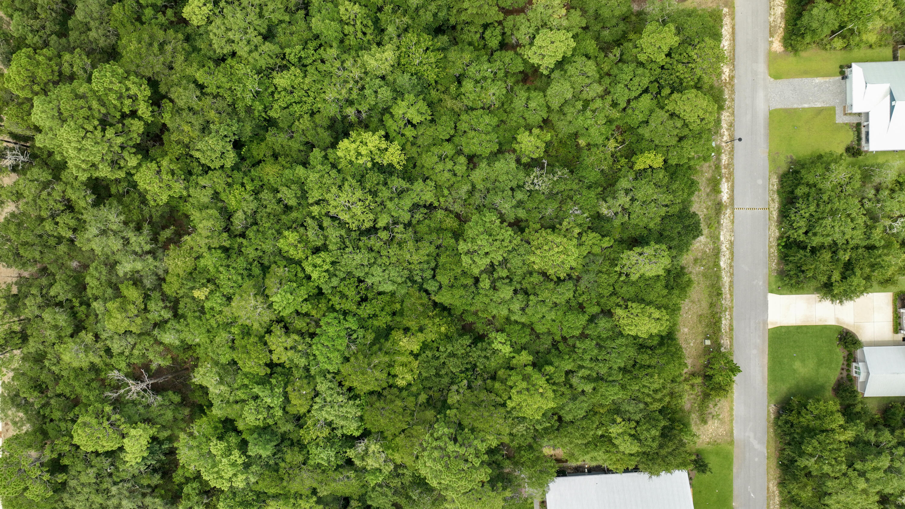 BEAR CREEK COTTAGES - Land