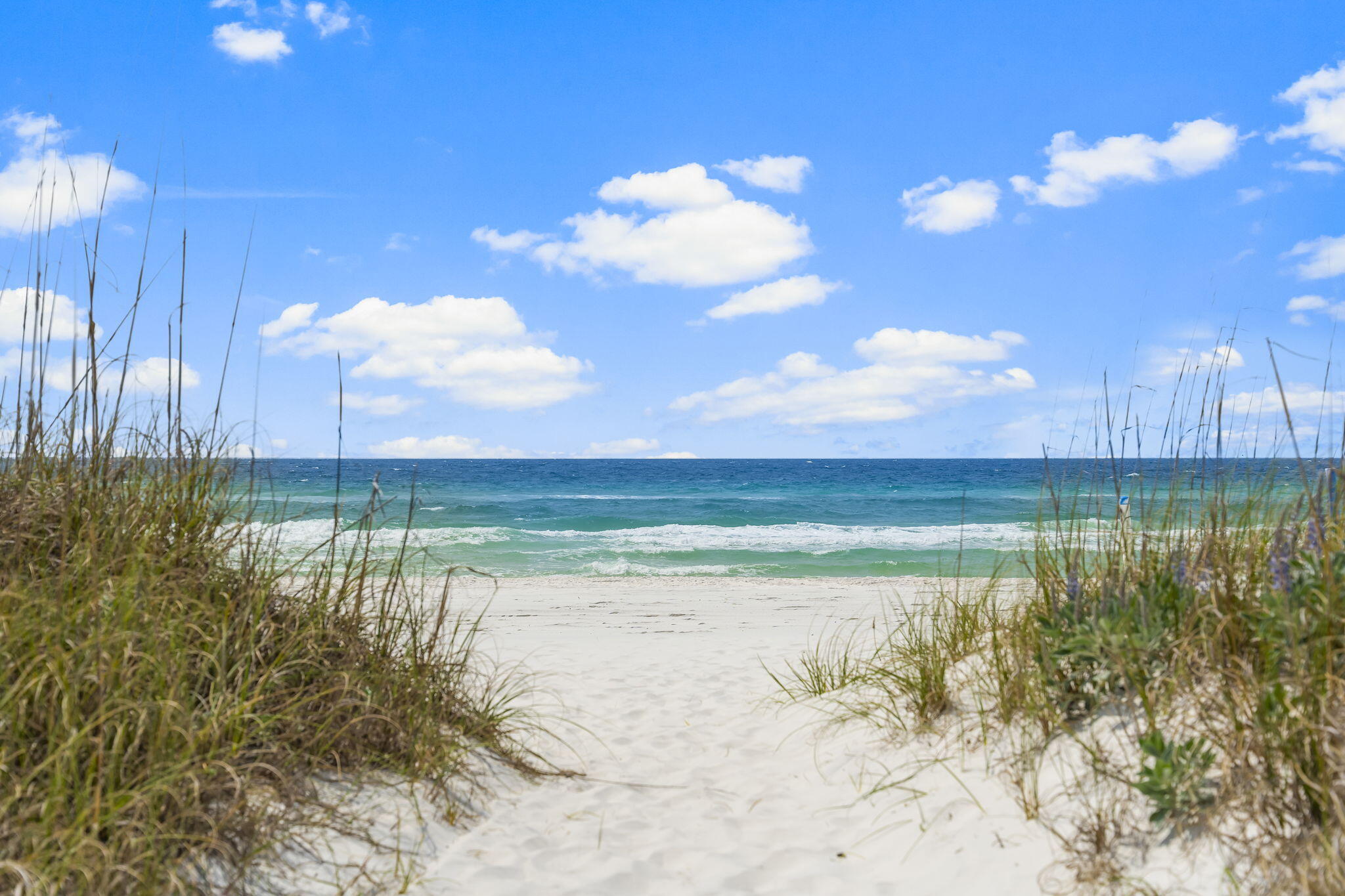 PRESERVE PLACE AT GRAYTON BEACH - Residential