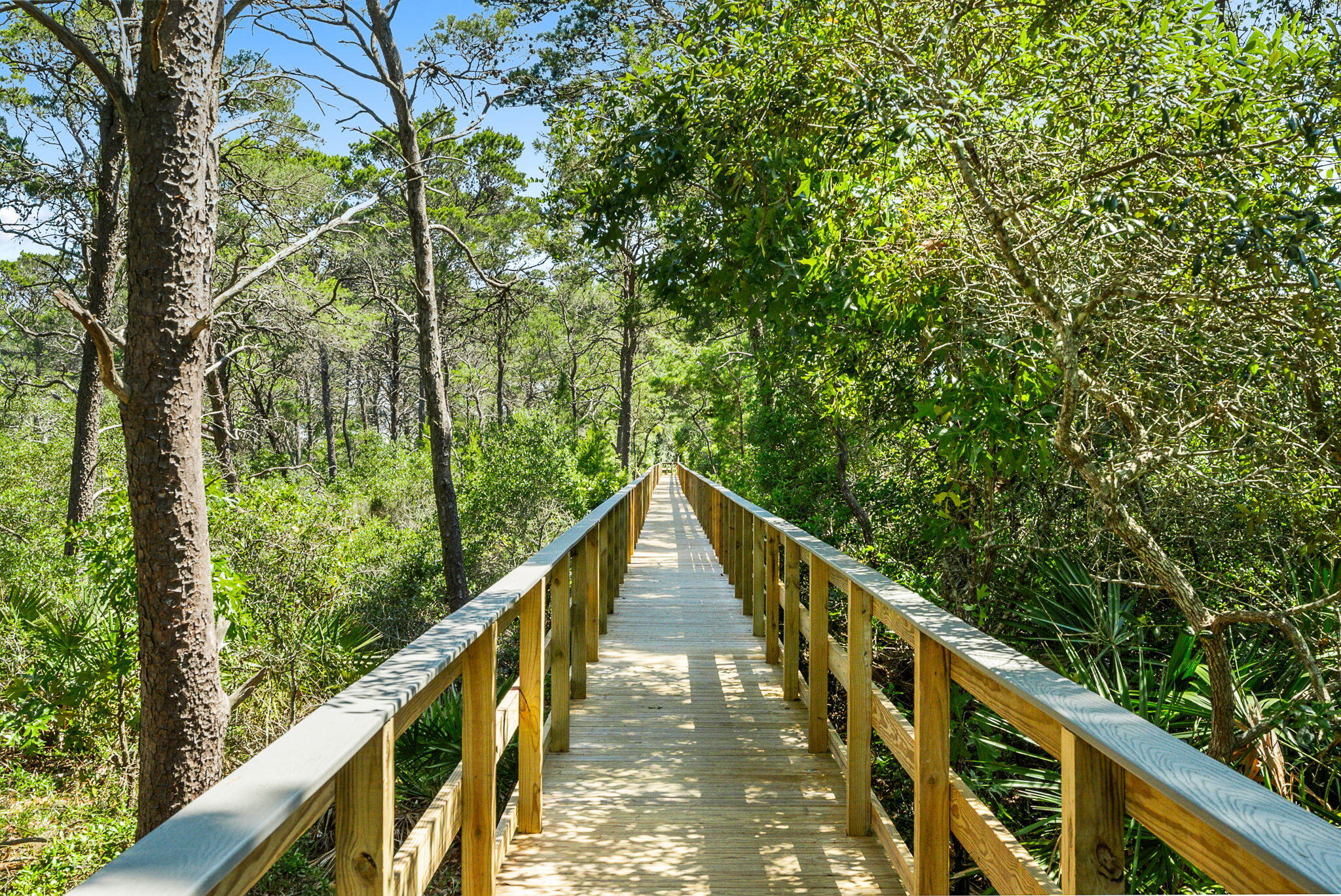 PRESERVE PLACE AT GRAYTON BEACH - Residential