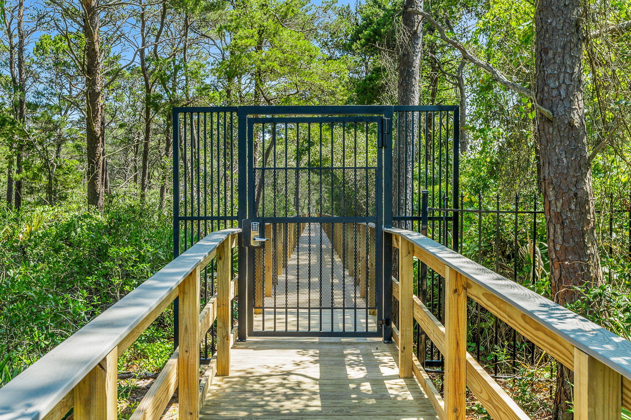 PRESERVE PLACE AT GRAYTON BEACH - Residential