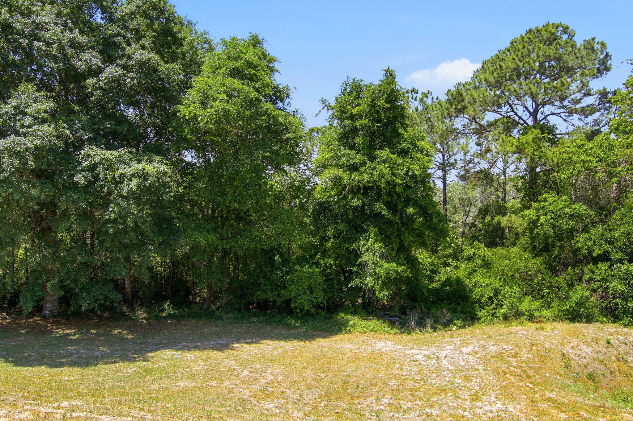 WESTVIEW ESTATES PH 5 - Residential